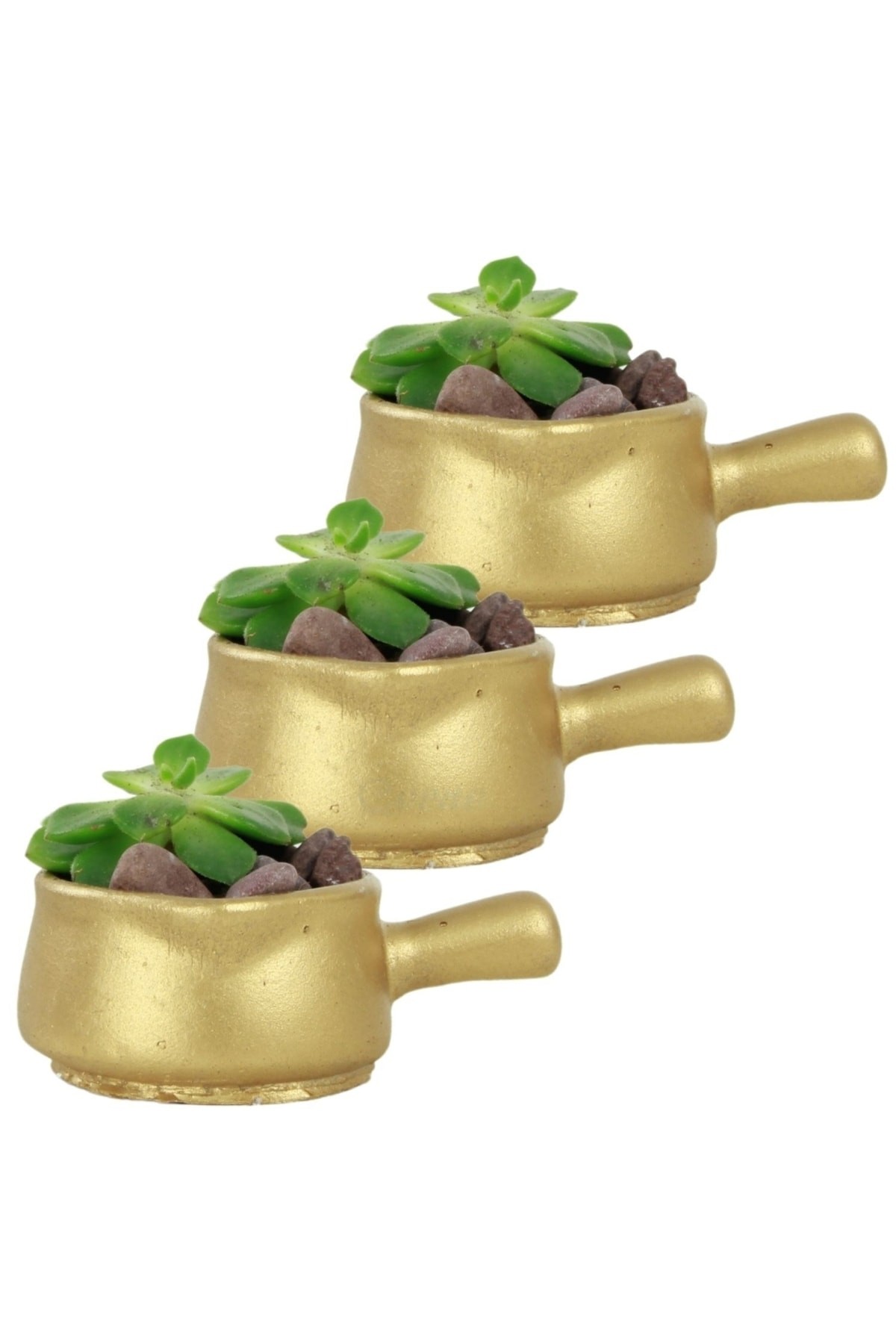 Mini Çiçek Saksı Küçük Sukulent Altın Kaktüs Saksısı 3'lü Set Mini Tava Model