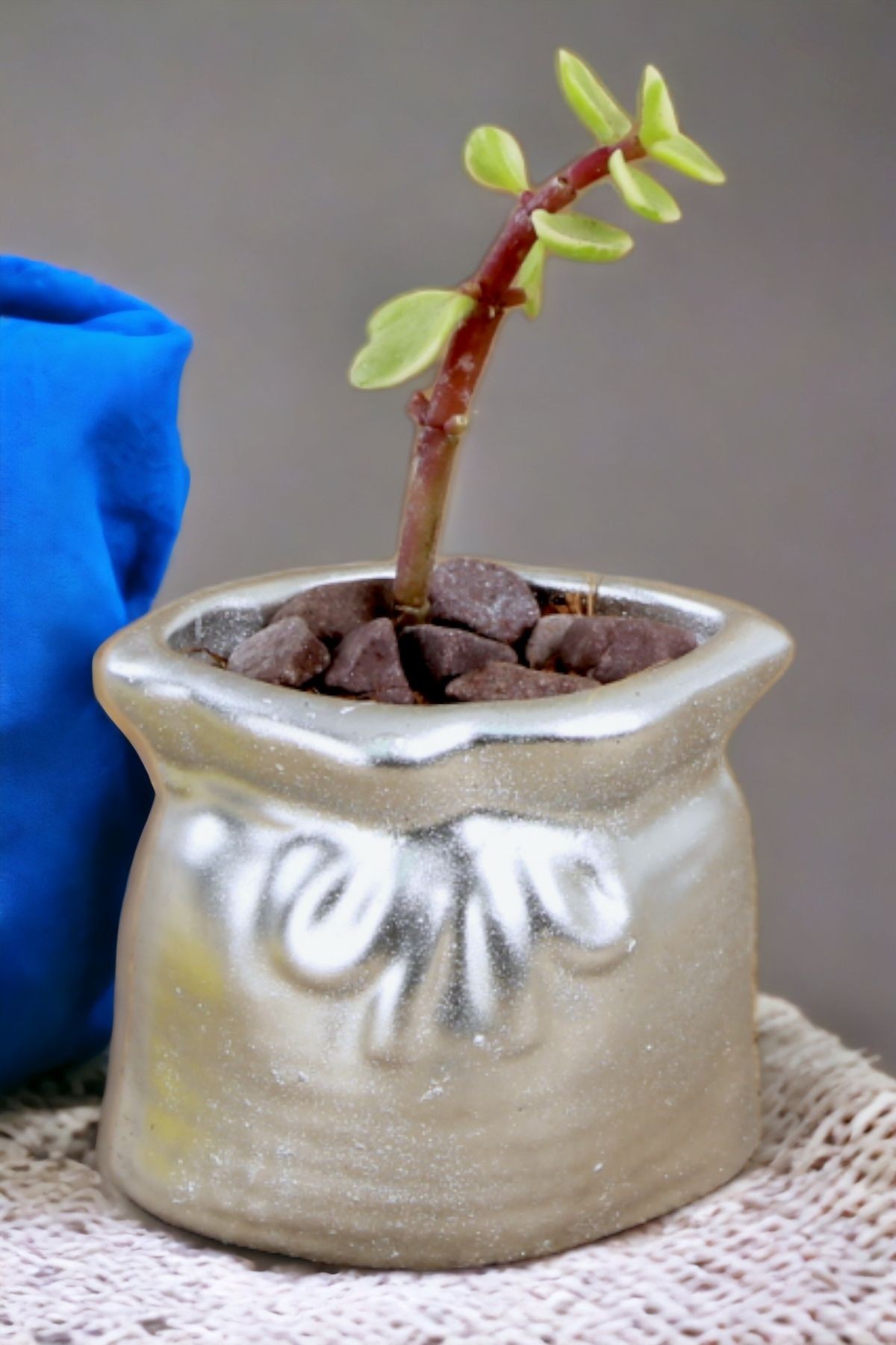 GÜMÜŞ ESKİTME thumbnail image