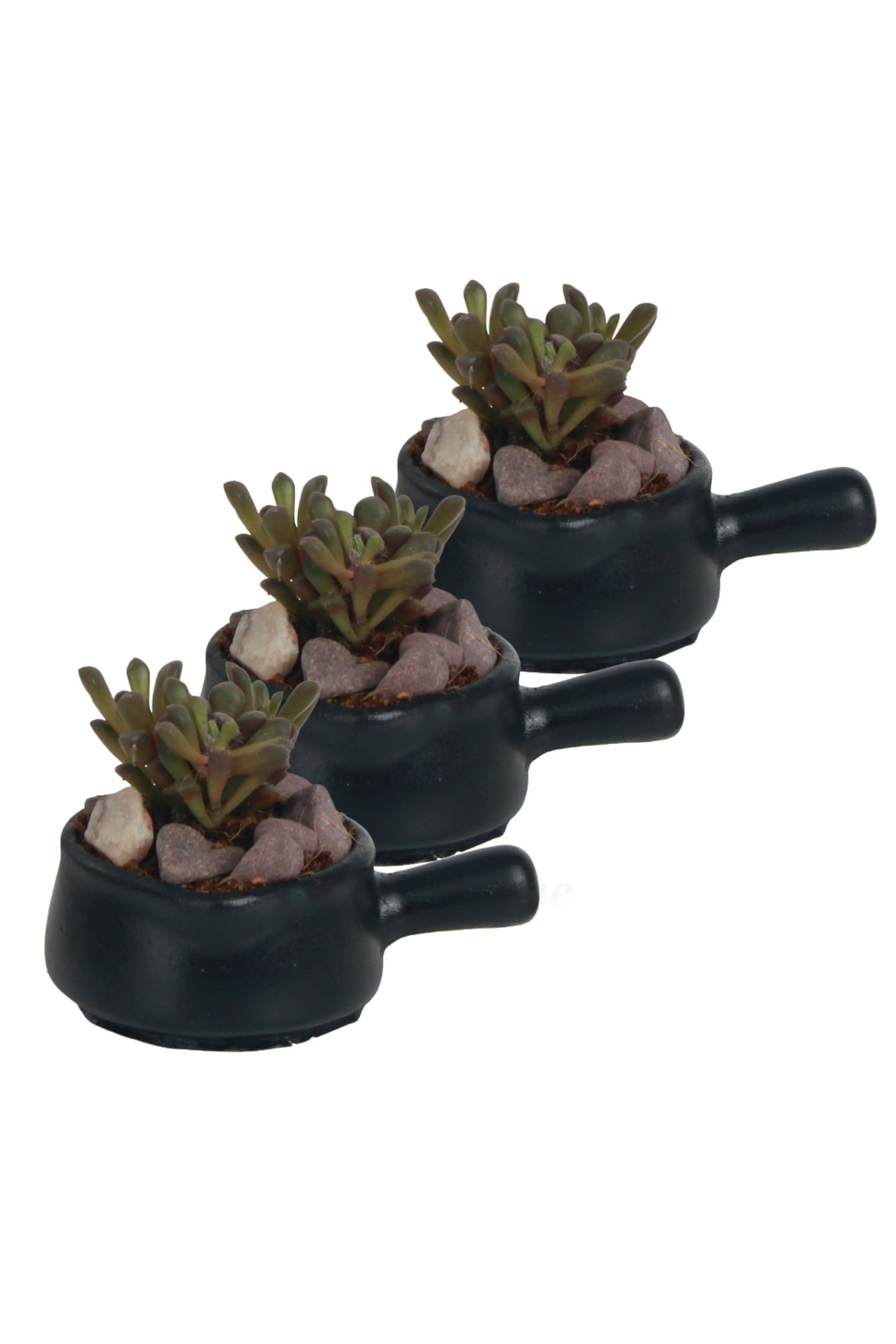 Mini Çiçek Saksısı Küçük Sukulent Siyah Kaktüs Saksı 3 Adet Set Tava Model