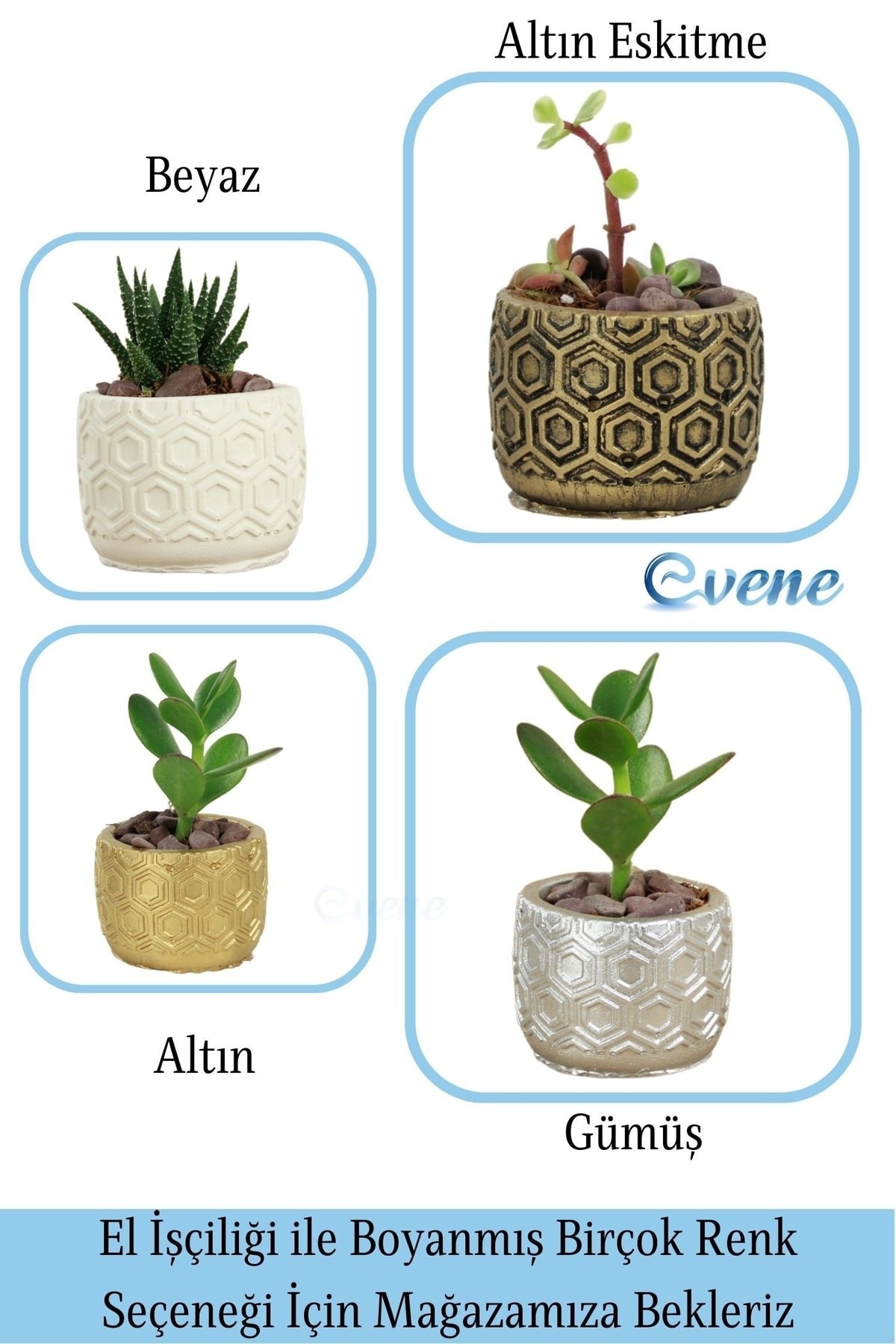 Mini Çiçek Saksı Küçük Sukulent Beyaz Kaktüs Saksısı 3'lü Set Altıgen Model