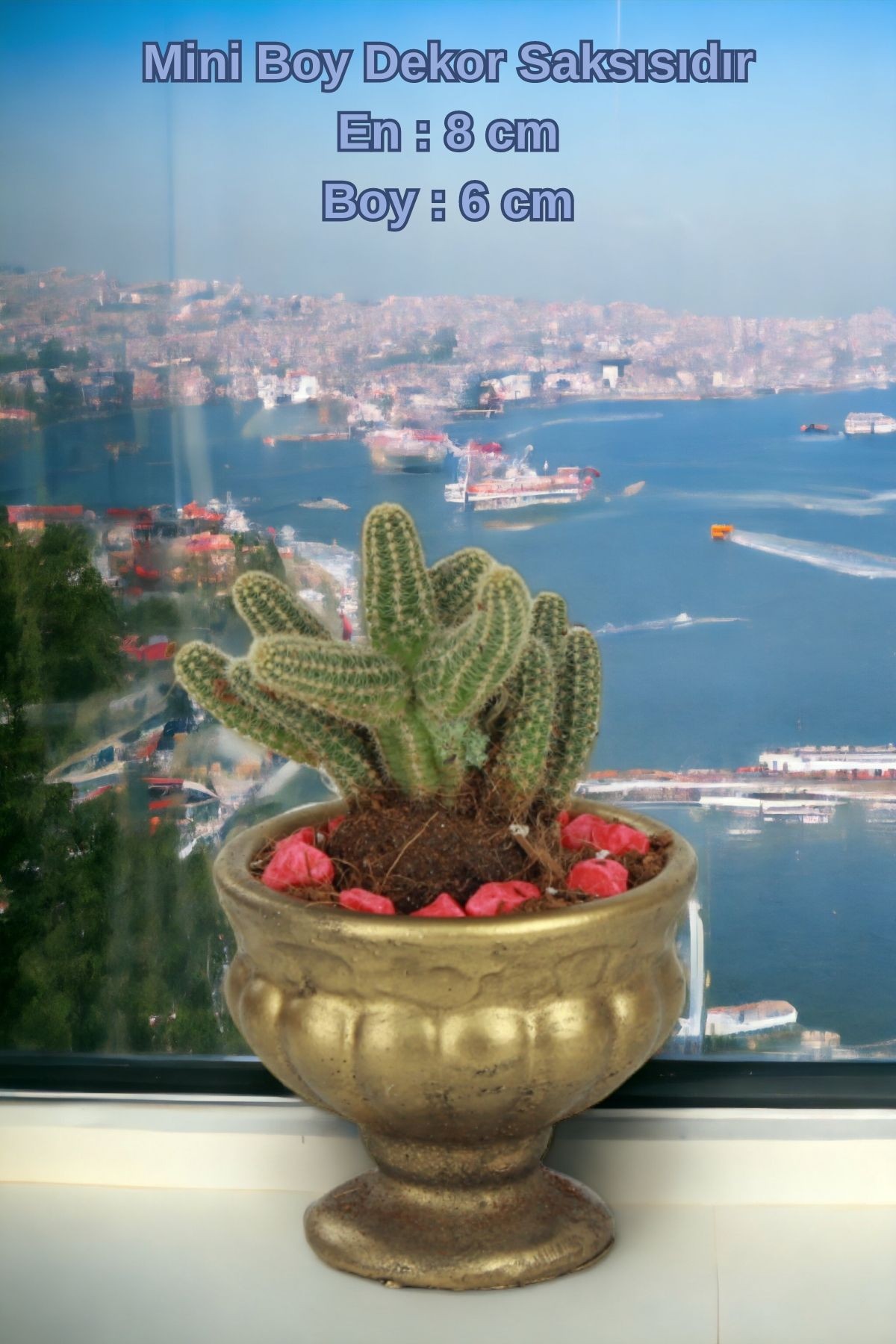 Siyah - Altın thumbnail image