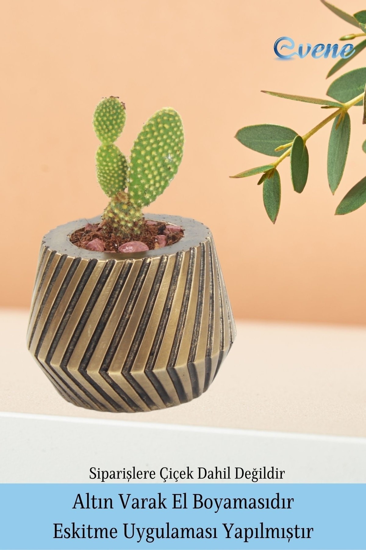 Saksı Çiçek Kaktüs Saksısı Lüx 15 Cm Altın Eskitme Varak Boya Mekanik Dişli Desen Saksı 2li Çiçeklik