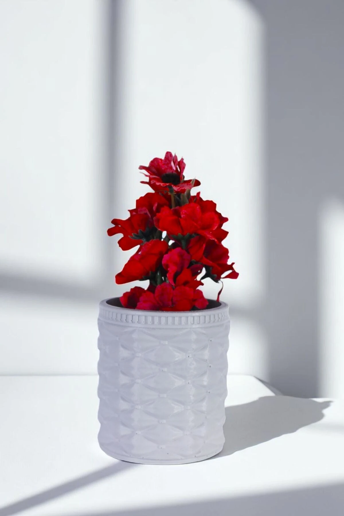 Beyaz thumbnail image