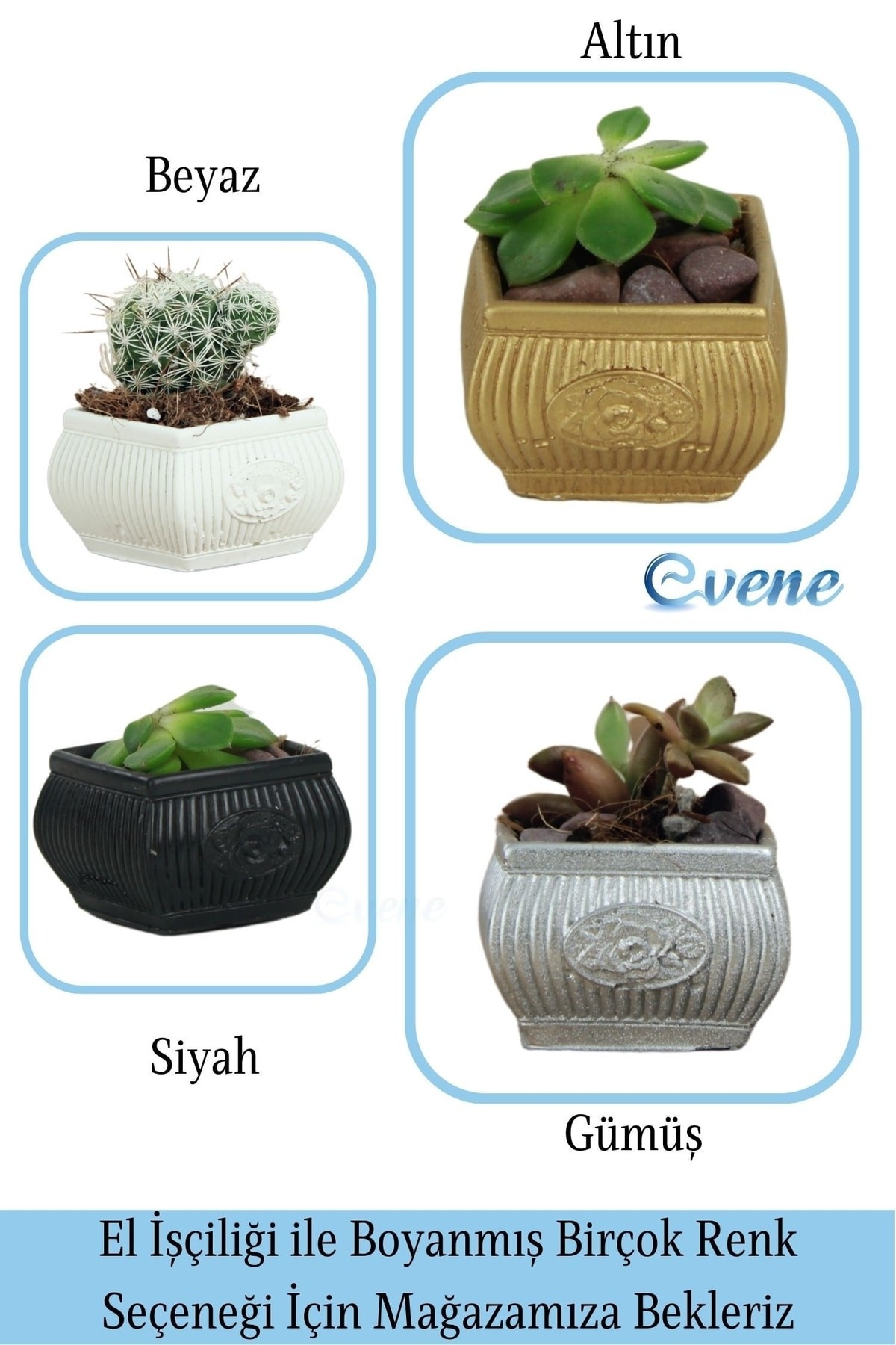 Mini Çiçek Saksı Küçük Sukulent Gümüş Kaktüs Saksısı Mini Çiçekli Model