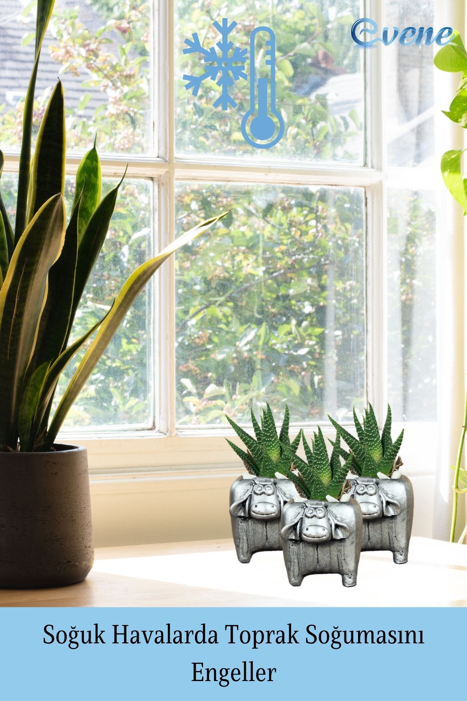 Mini Çiçek Saksısı Küçük Sukulent Gümüş Eskitme Kaktüs Saksı Mini İnek Model