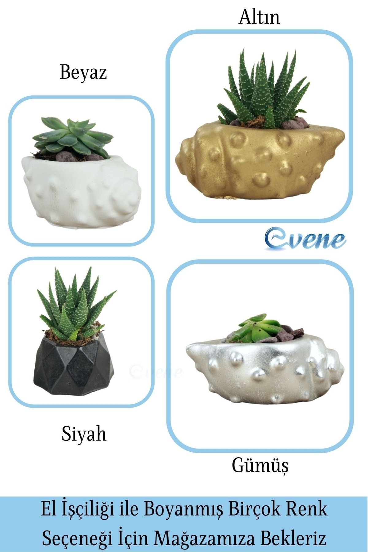 Altın thumbnail image