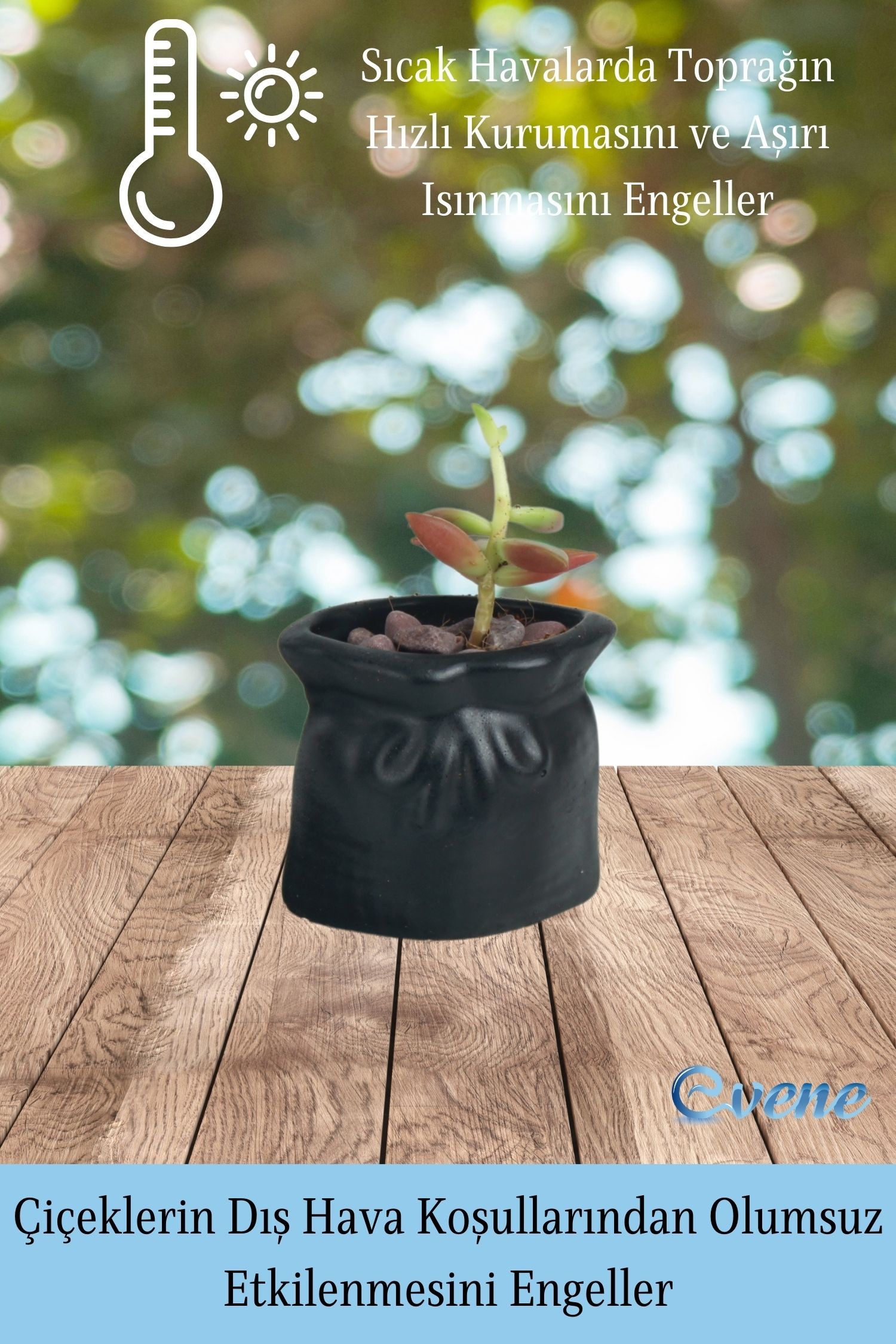 Mini Çiçek Saksısı Küçük Sukulent Siyah Kaktüs Saksı Kese Model