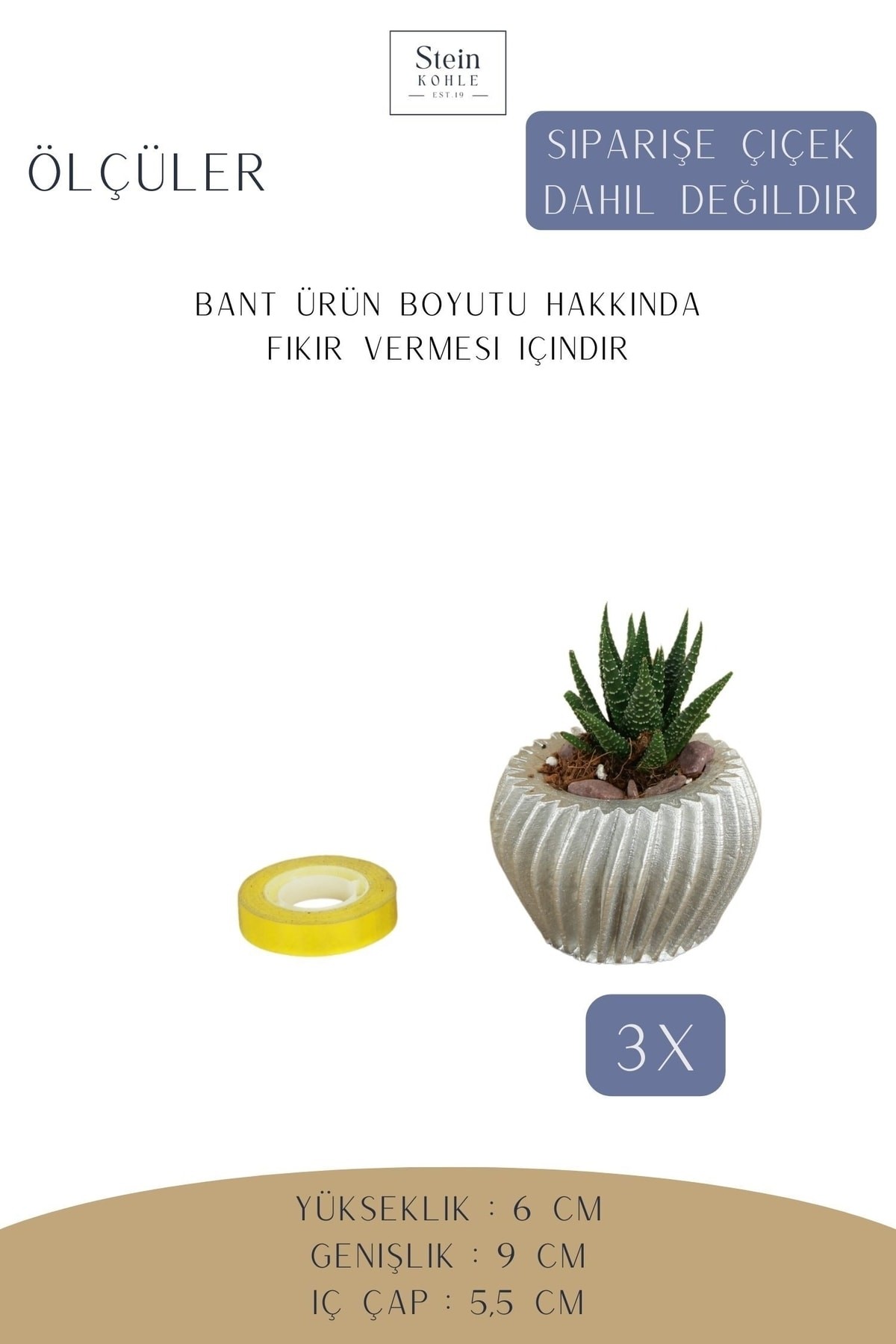 Dekoratif Saksı Minik Kaktüs Saksısı Gümüş Renk 3 Adet Saksı Seti Derin Çizgili Spiral Model