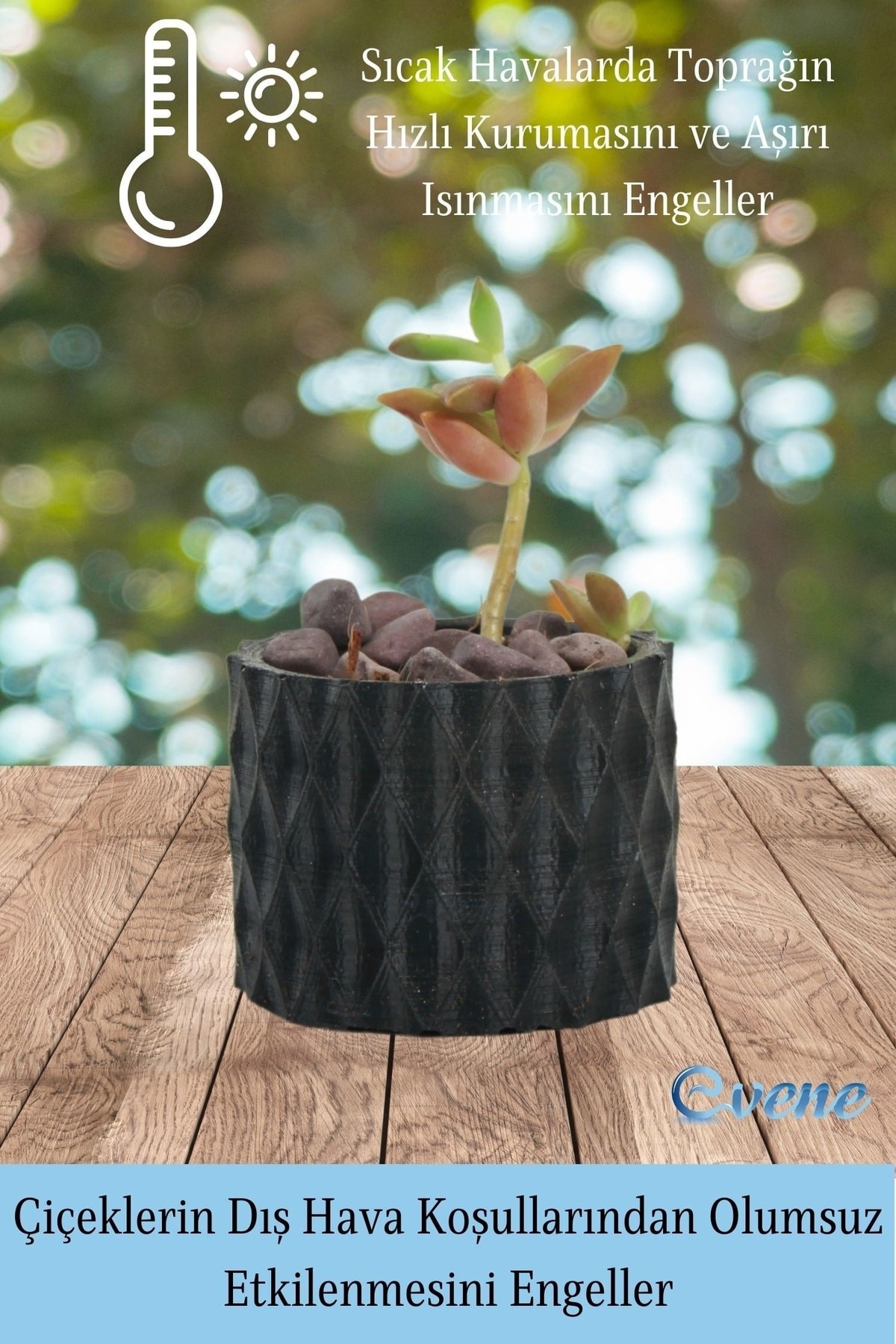 Mini Çiçek Saksı Küçük Sukulent Siyah Kaktüs Saksısı Baklava Çizgili Model