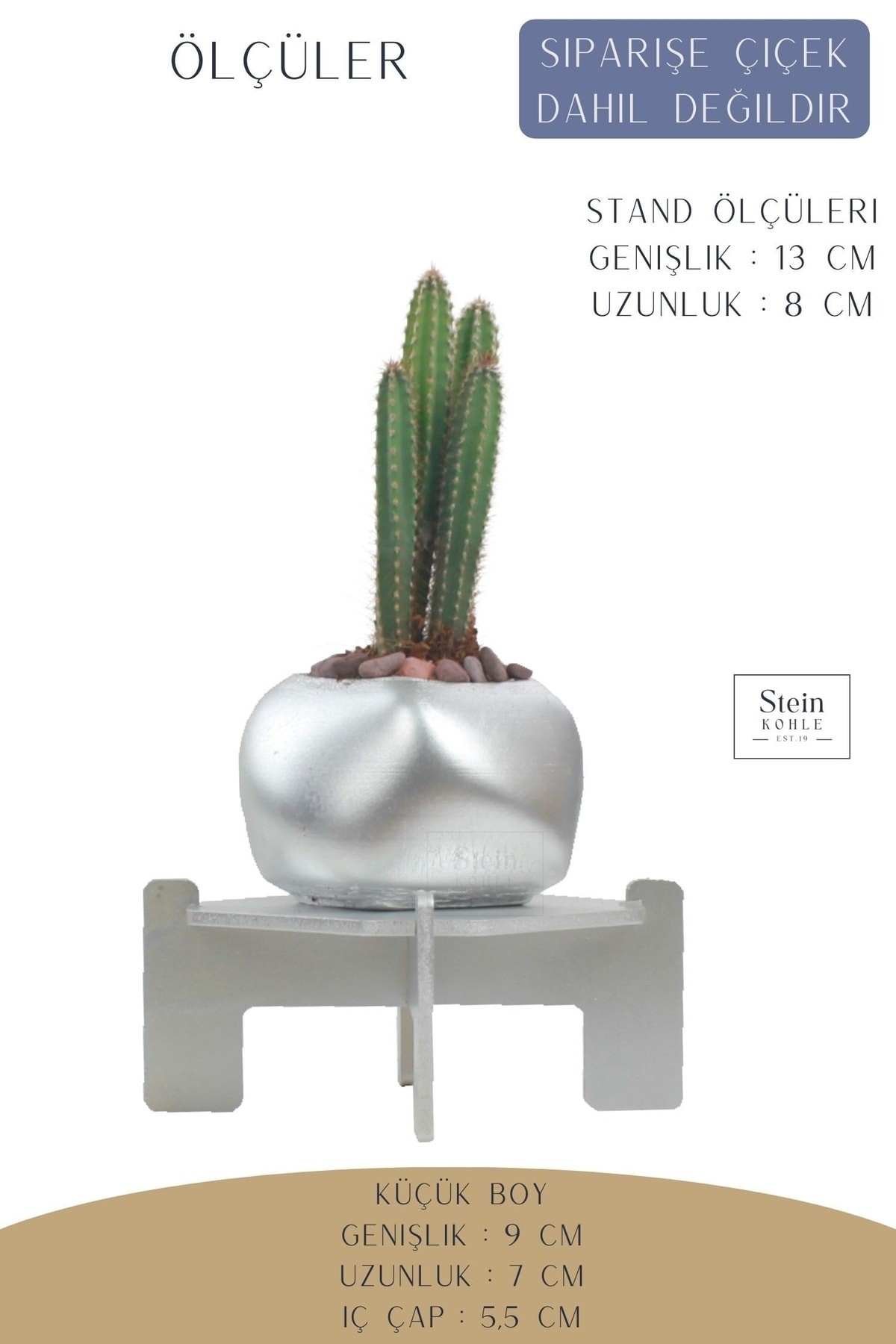 Ayaklı Saksı Ahşap Dekoratif Kaktüs Saksısı 1 Adet Gümüş Renk Uygulamalı Spiral Oval Model