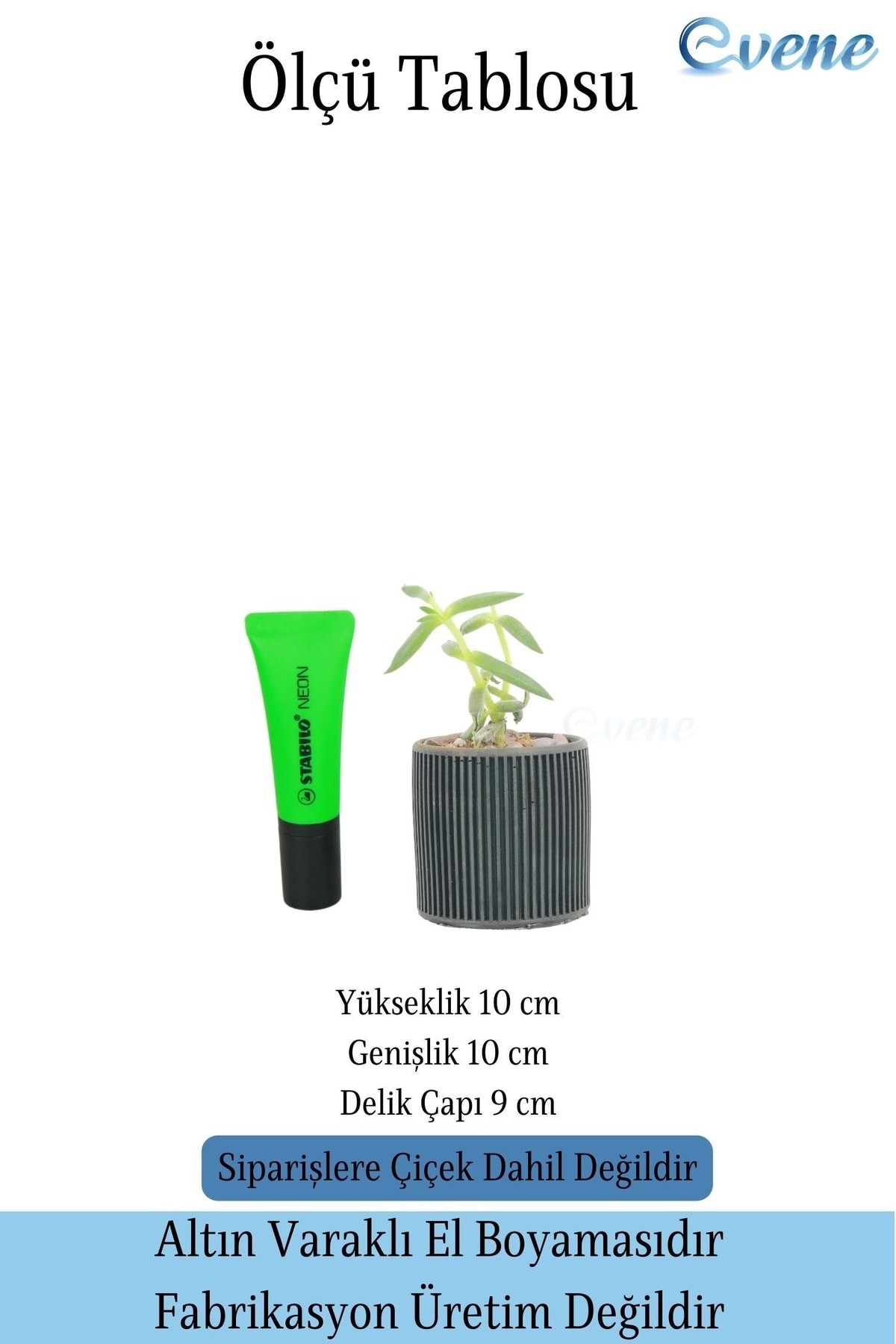 Mini Çiçek Saksı Küçük Sukulent Siyah Kaktüs Saksısı Düz İnce Çizgili Model