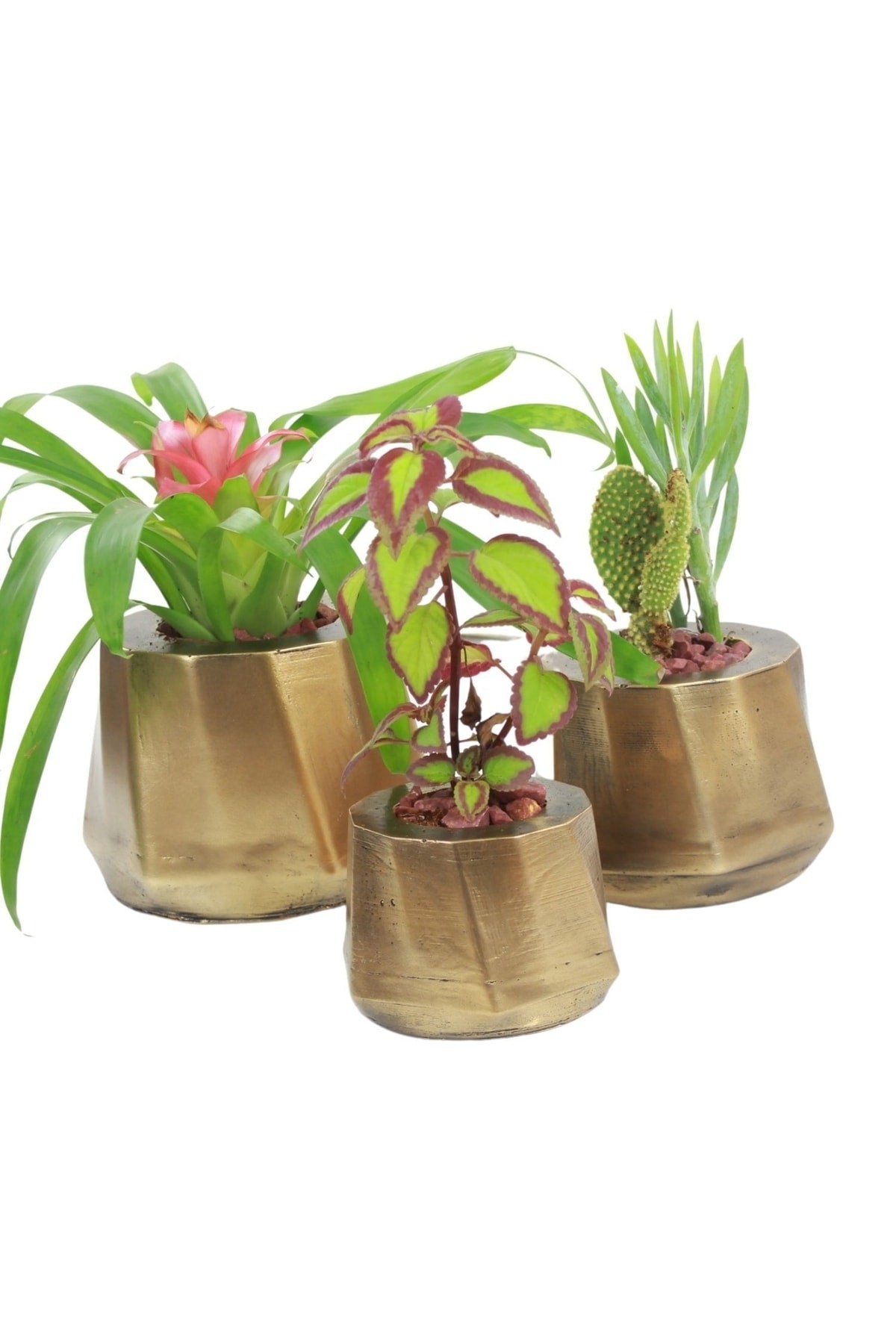Saksı Çiçek Kaktüs Saksısı Lüx 15 cm Altın Eskitme Varak Boyalı Kalın Çizgi Desen 3'lü Set Çiçeklik