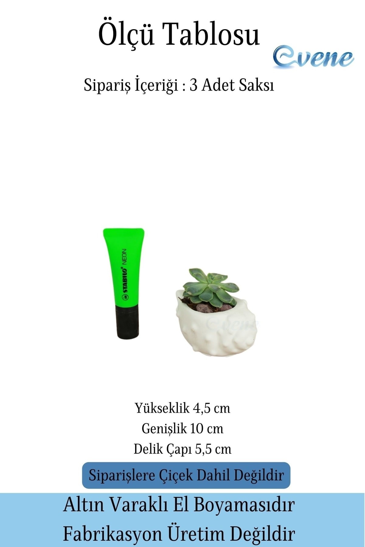 Mini Çiçek Saksı Küçük Sukulent Beyaz Kaktüs Saksısı 3'lü Set Deniz Kabuğu Model