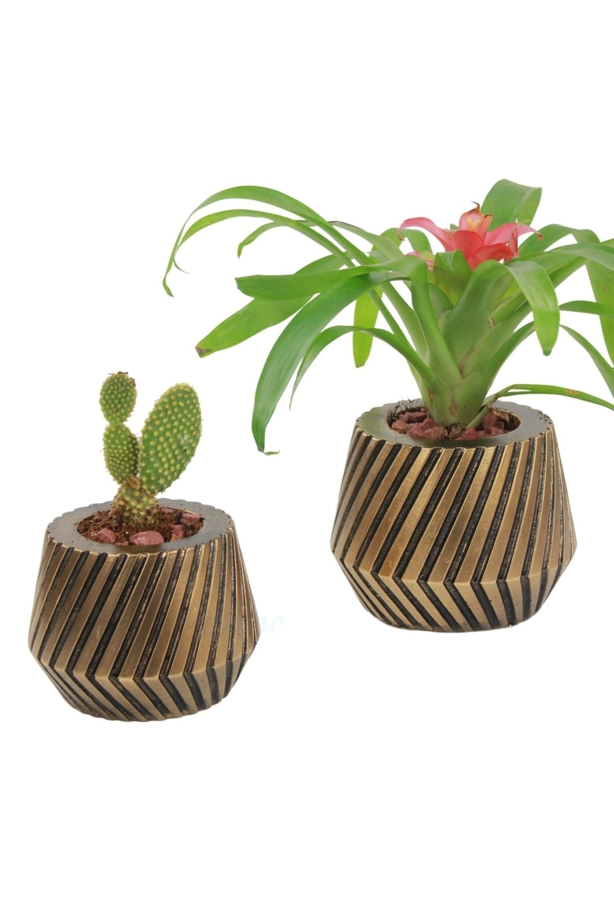 Saksı Çiçek Kaktüs Saksısı Lüx 15 Cm Altın Eskitme Varak Boya Mekanik Dişli Desen Saksı 2li Çiçeklik