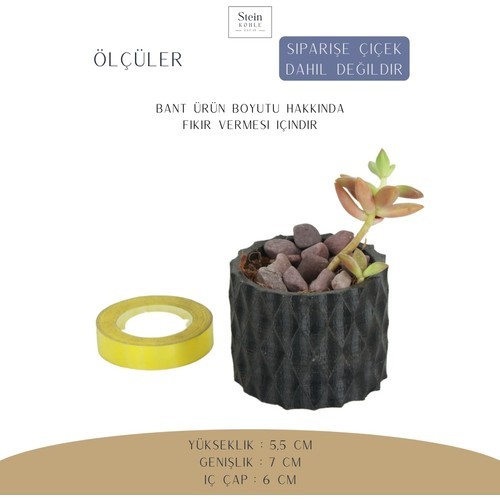Stein Kohle Dekoratif Saksı Minik Kaktüs Saksısı Baklava Model