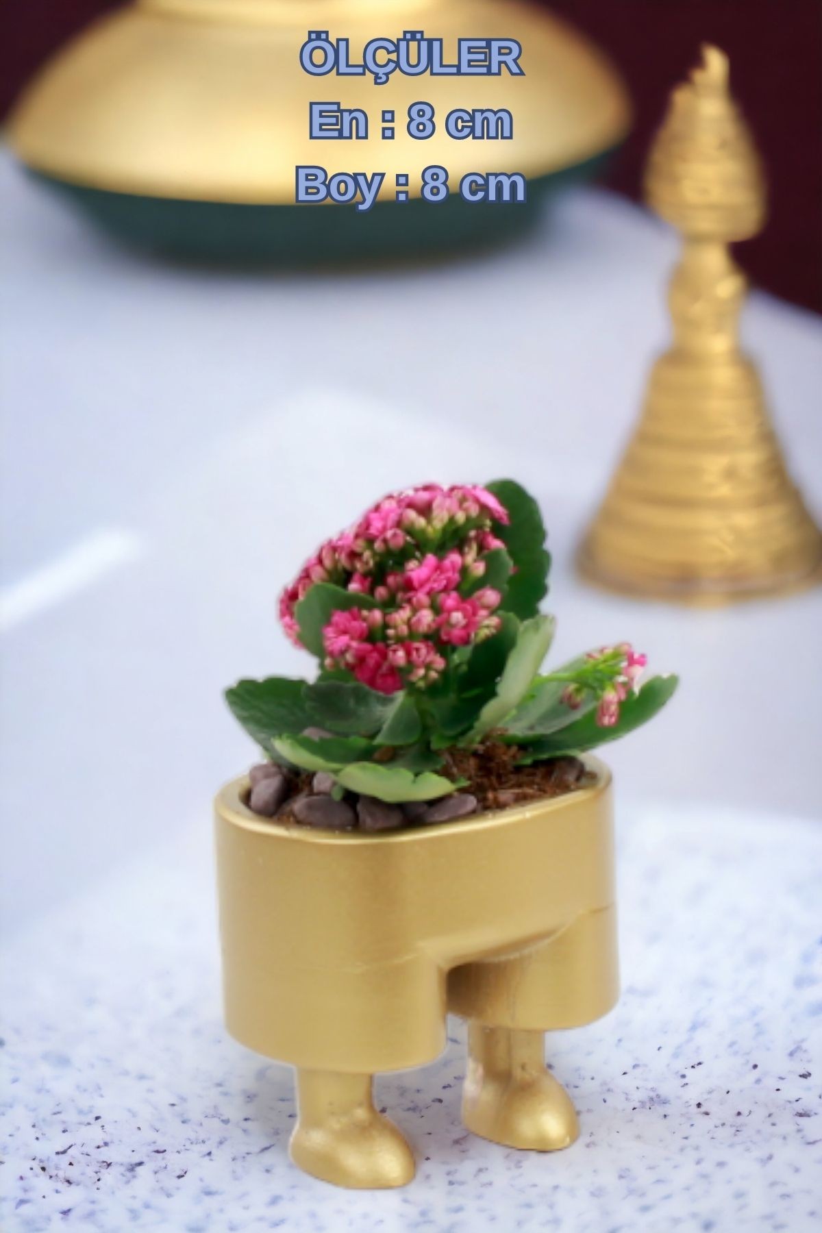 Altın thumbnail image