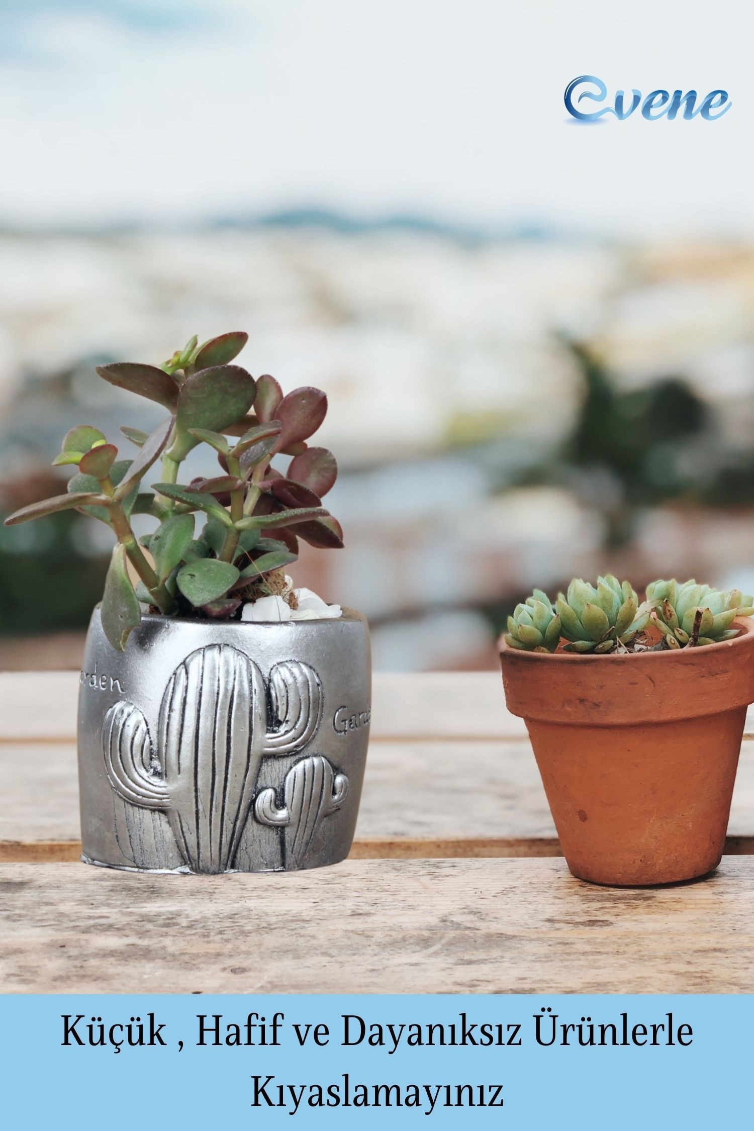 Mini Çiçek Saksısı Küçük Sukulent Gümüş Eskitme Kaktüs Desenli Model