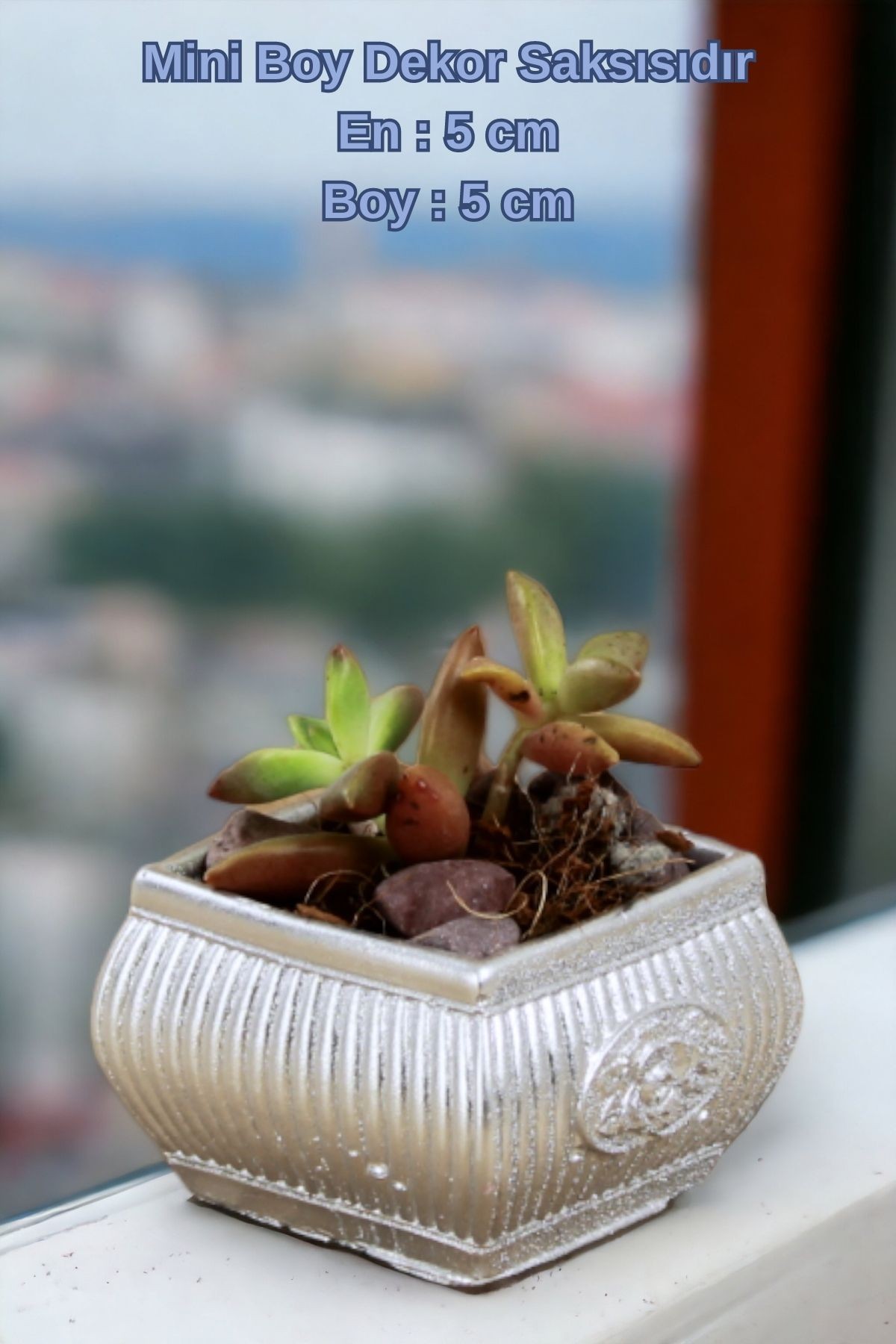 Gümüş thumbnail image