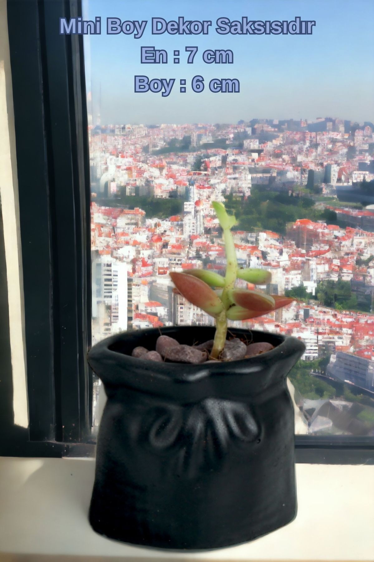 SİYAH thumbnail image