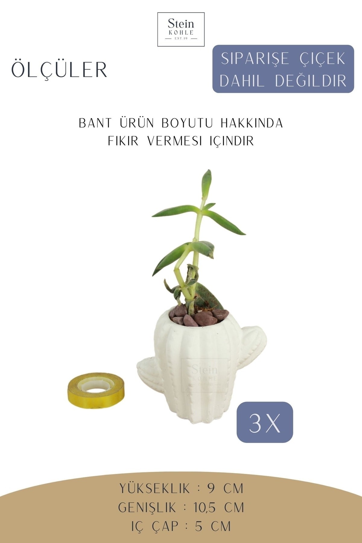 Beyaz thumbnail image