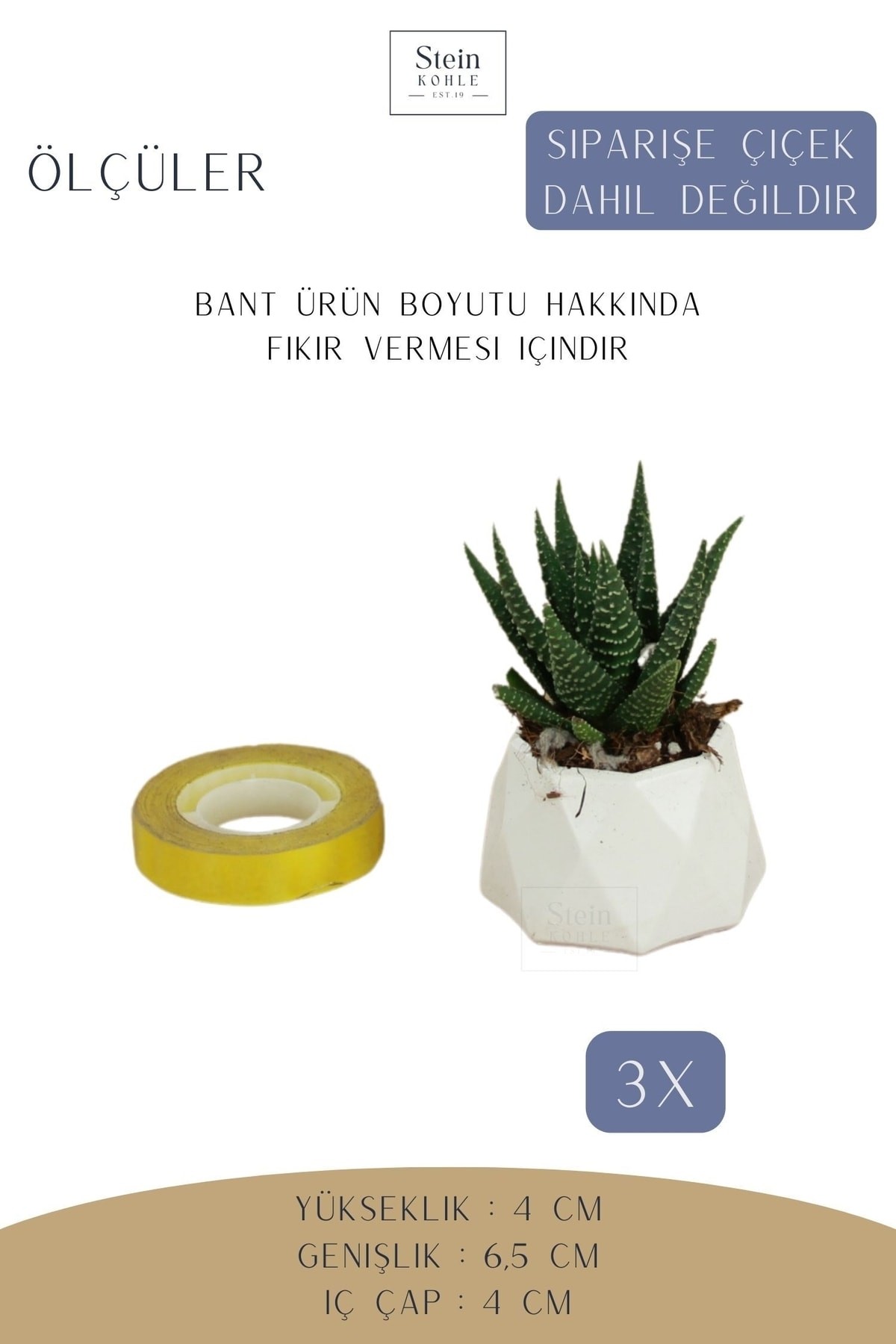 Dekoratif Saksı Minik Kaktüs Saksısı Beyaz Renk 3 Adet Saksı Seti Mini Poly 1 Model
