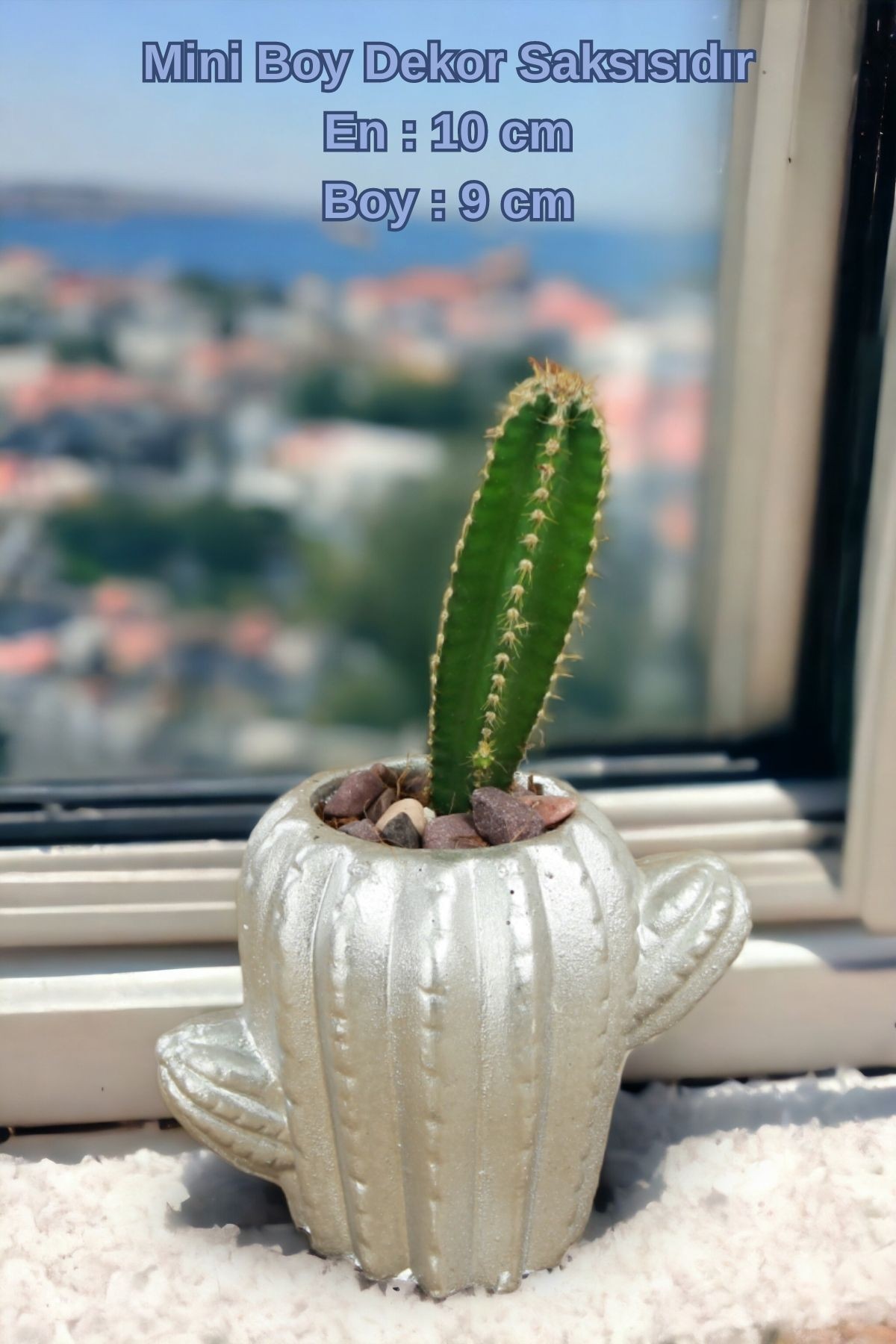 Gümüş thumbnail image