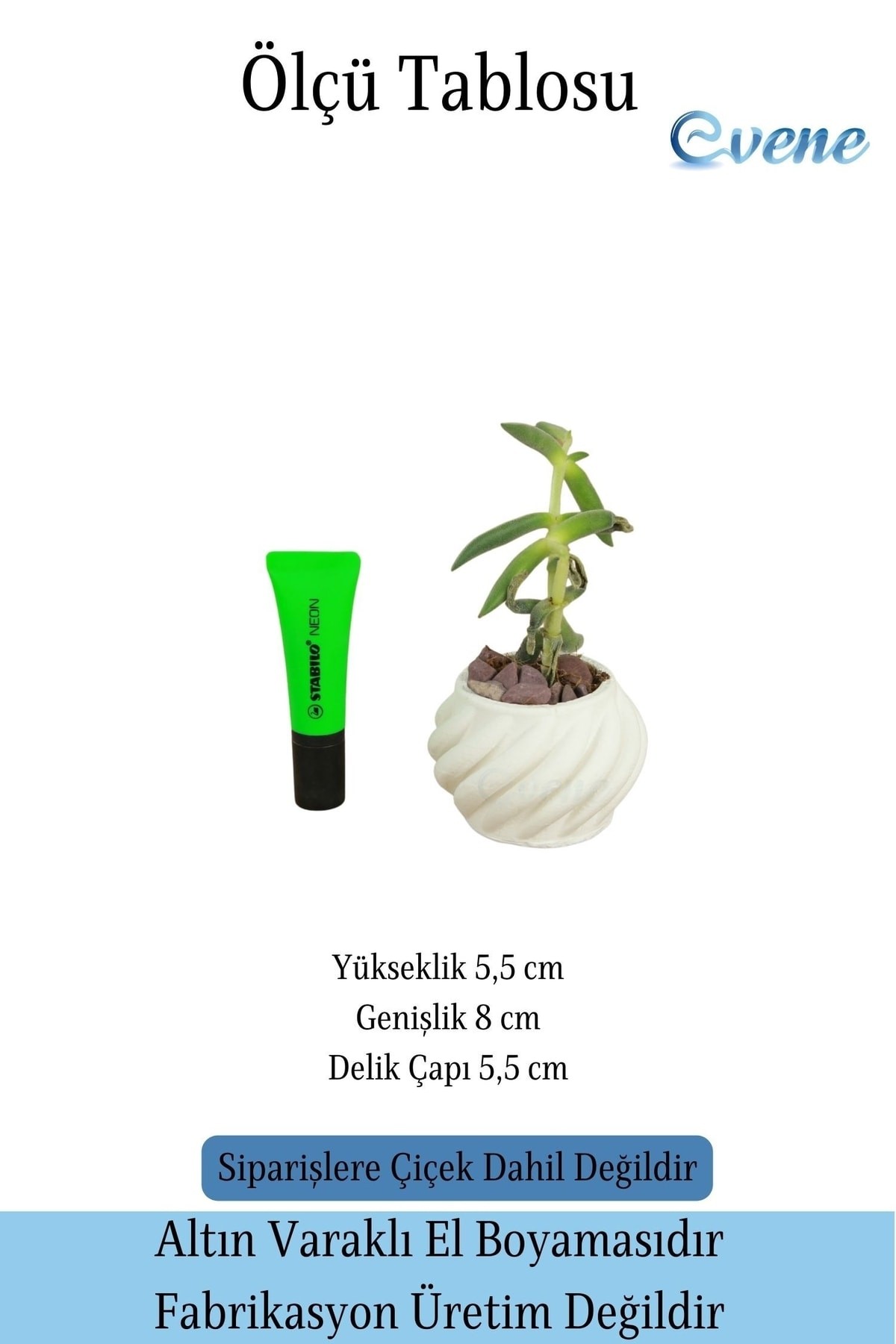 Mini Çiçek Saksı Küçük Sukulent Beyaz Kaktüs Saksısı Kalın Çizgili Spiral Model