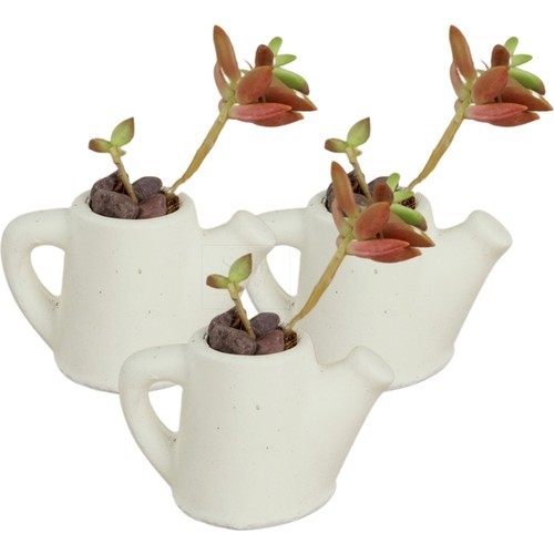 Stein Kohle Dekoratif Saksı Minik Kaktüs Saksısı Mini Çaydanlık Model