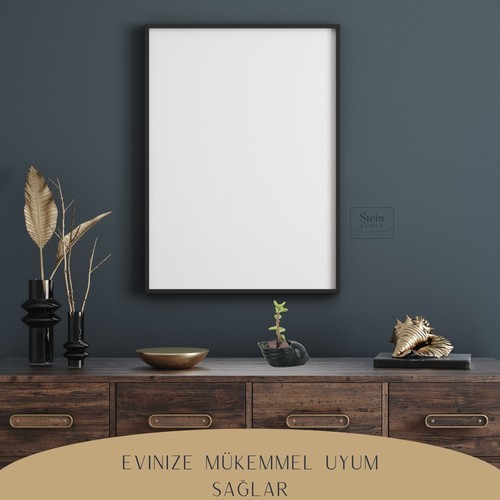 Stein Kohle Dekoratif Saksı Minik Kaktüs Saksısı Deniz Salyangozu Model