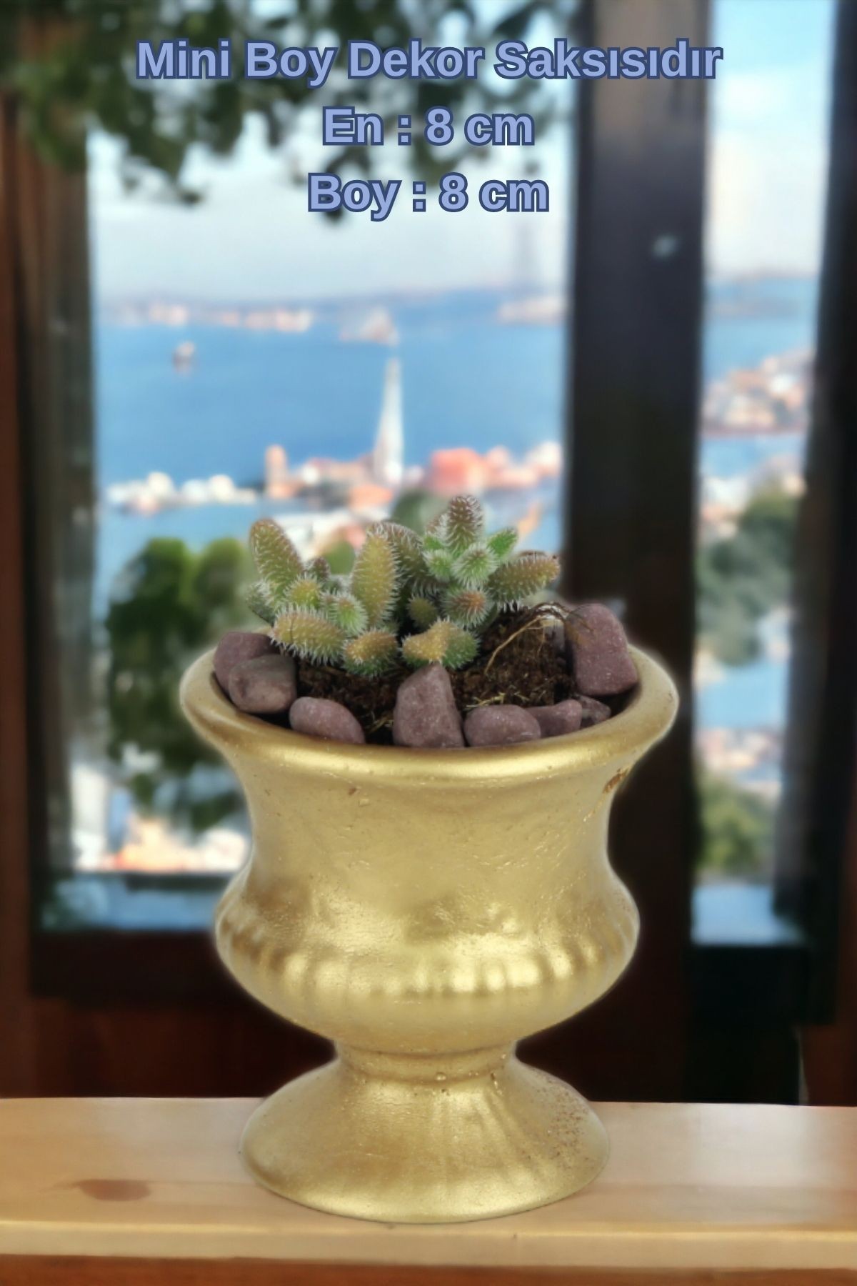 Altın thumbnail image