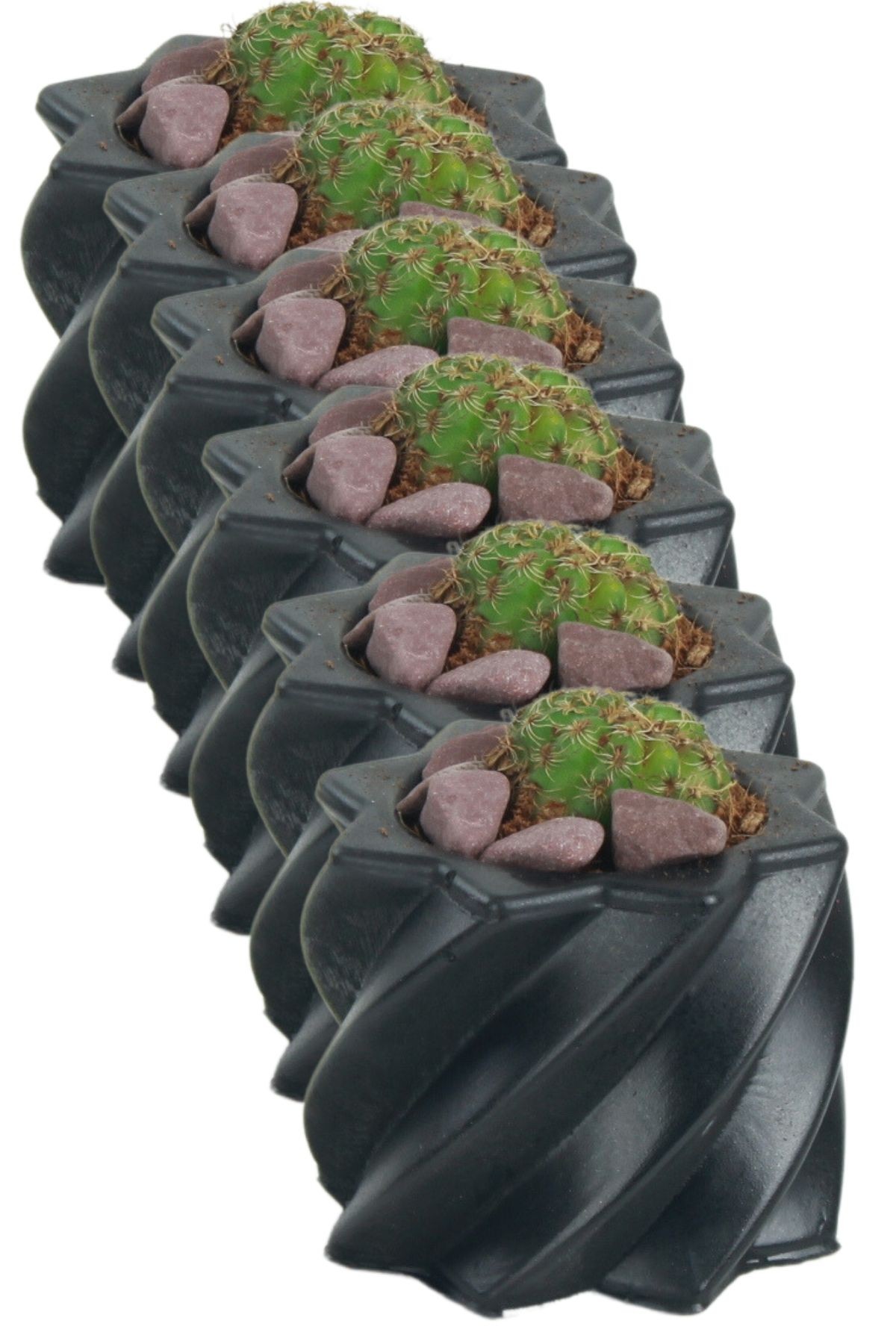 SİYAH thumbnail image