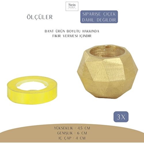 Stein Kohle Dekoratif Saksı Minik Kaktüs Saksısı Dönen Poly Model