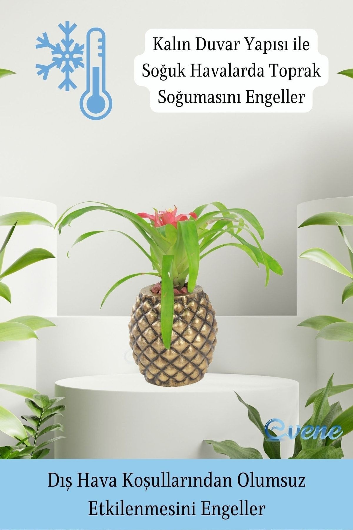 Saksı Çiçek Kaktüs Saksısı Lüx 15 Cm Altın Eskitme Varak Boyalı Ananas Desen Saksı Çiçeklik