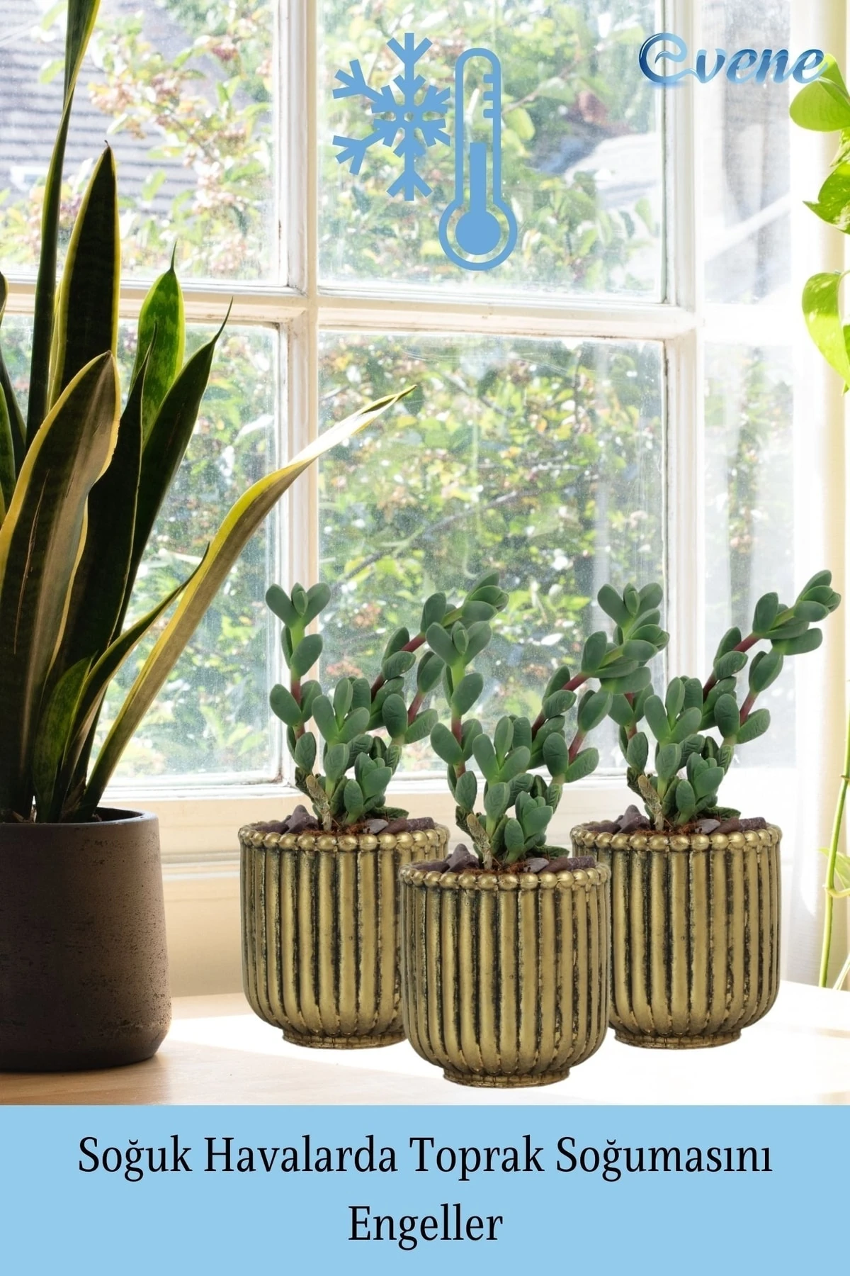 ALTIN ESKİTME thumbnail image