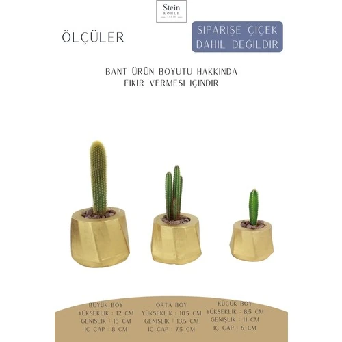 Stein Kohle Çiçek Saksısı Büyük Boy 3 Adet Altın Renk Uygulamalı Kalın Çizgi Model