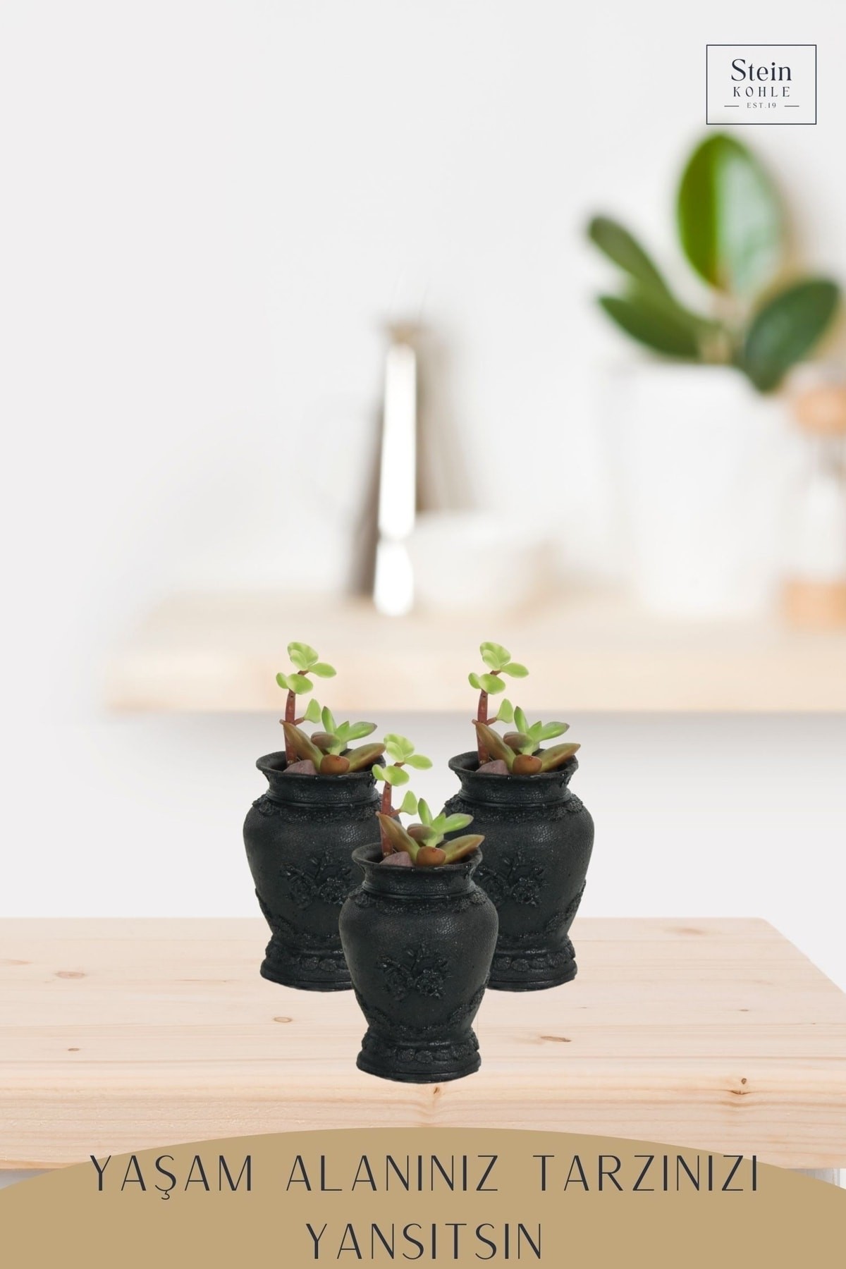 Dekoratif Saksı Minik Kaktüs Saksısı Siyah Renk 3 Adet Saksı Seti Mini Vazo Model