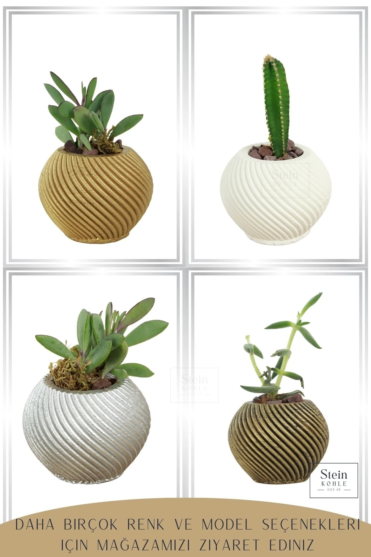 Gümüş thumbnail image