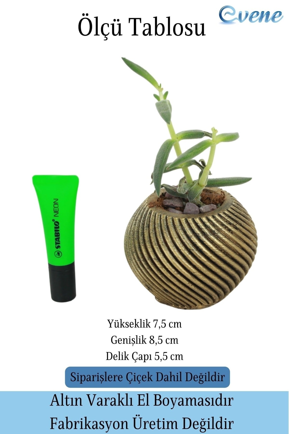 Mini Çiçek Saksı Küçük Sukulent Altın Eskitme Kaktüs Saksısı İnce Çizgili Spiral Model