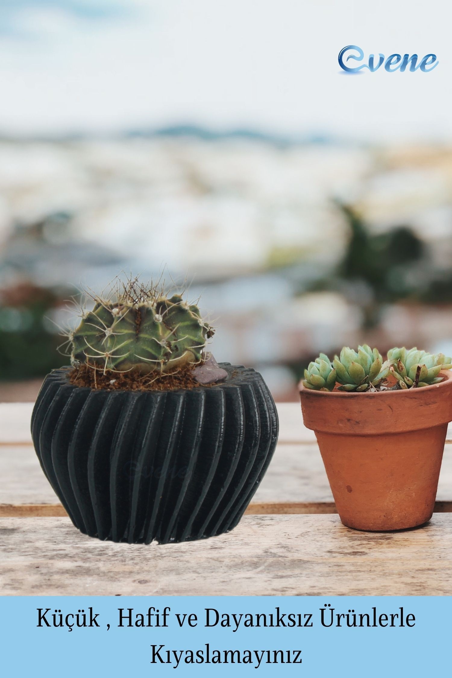 Mini Çiçek Saksısı Küçük Sukulent Siyah Kaktüs Saksı Derin Çizgili Model