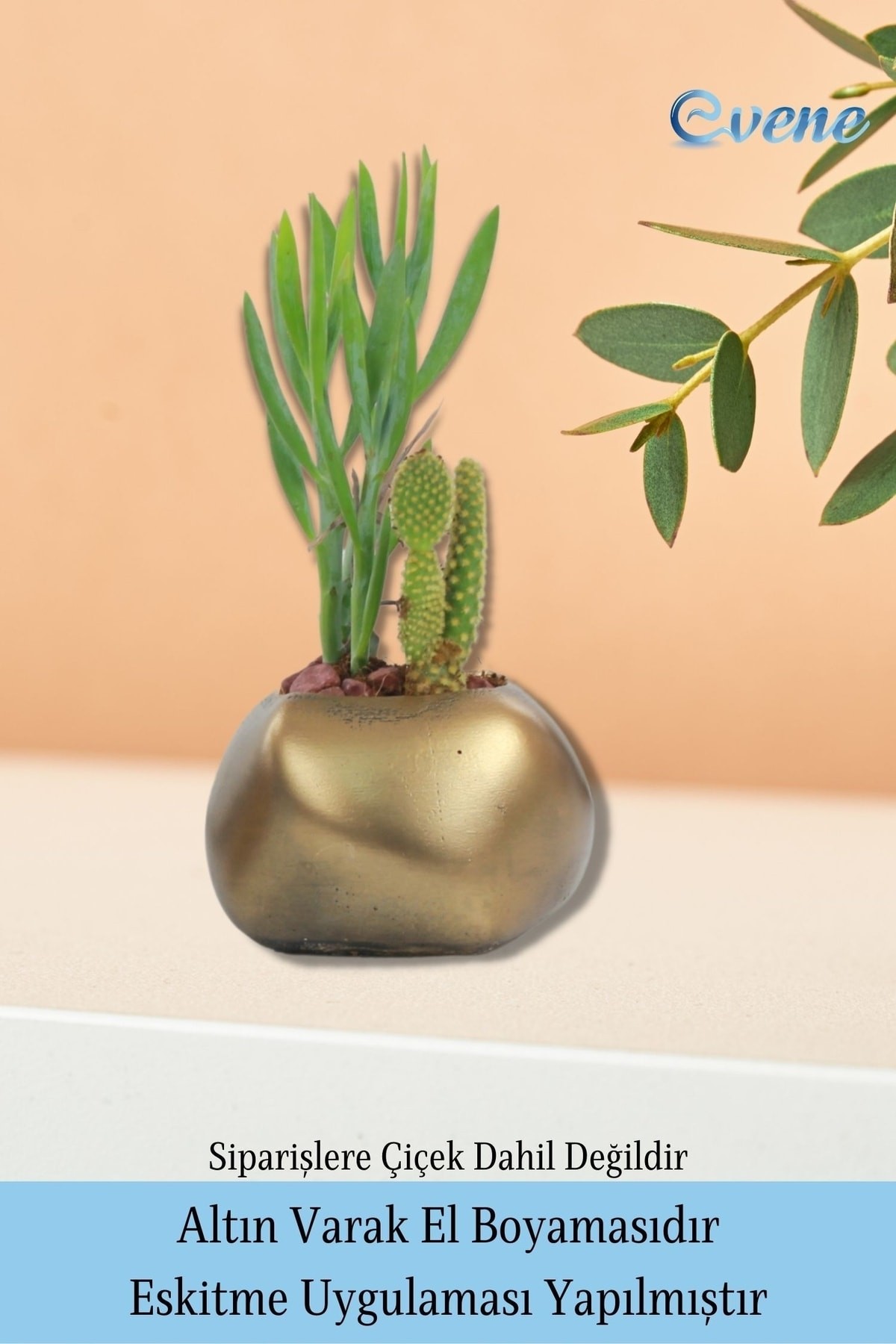 Saksı Çiçek Kaktüs Saksısı Lüx 14 Cm Altın Eskitme Varak Boyalı Elips Desenli 3'lü Set Çiçeklik