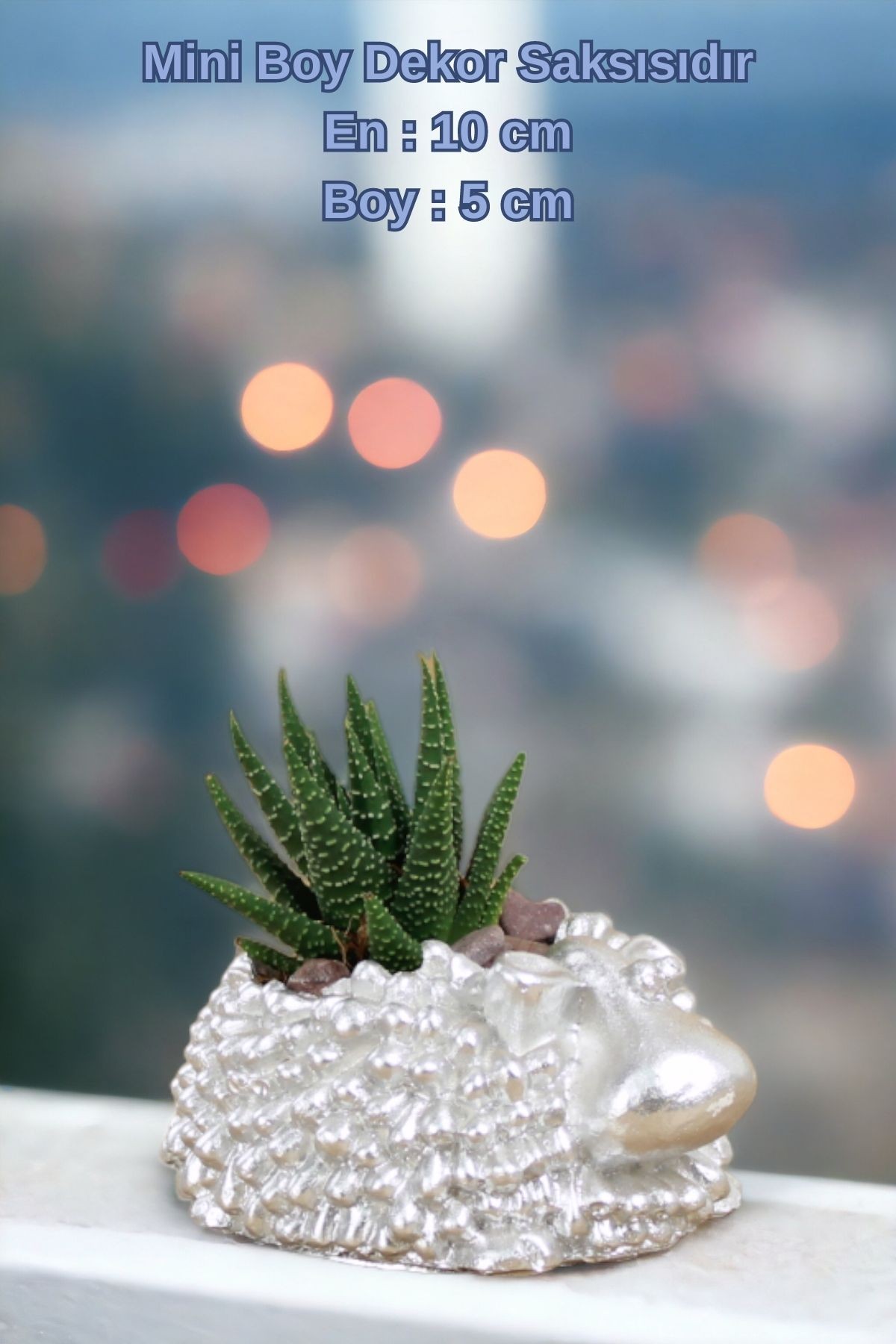 Gümüş thumbnail image
