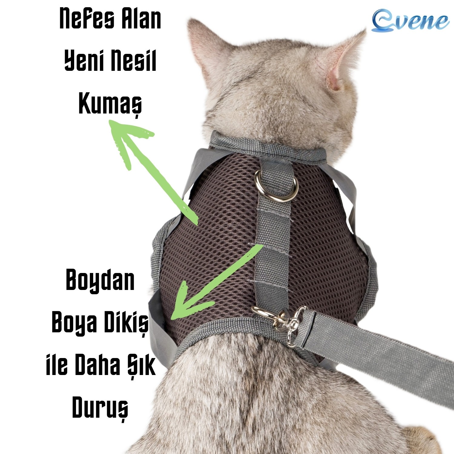 Kedi Tasması Göğüs Boyun Tasma Seti Sevk Kayışlı Terletmeyen Nefes Alan Reflektörlü Tasma