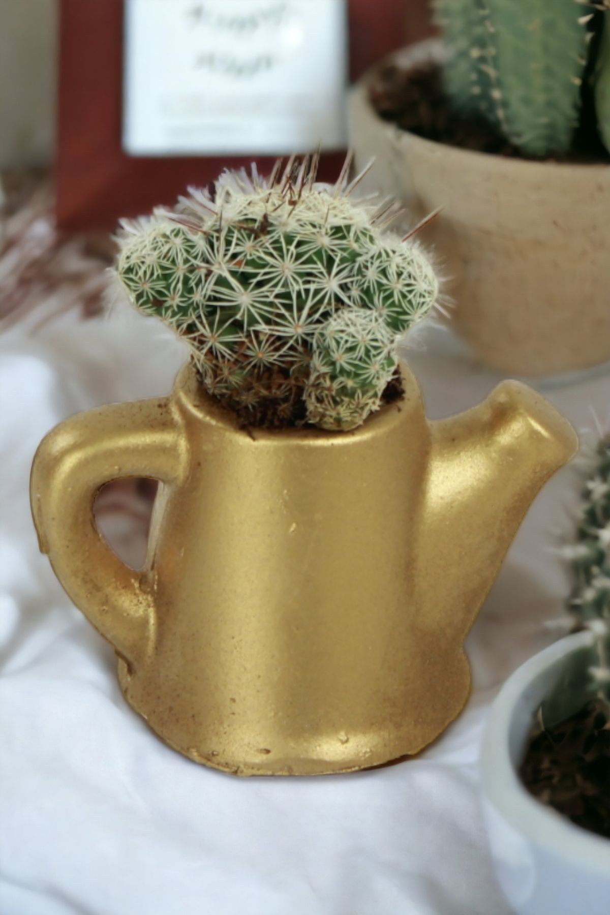 Altın thumbnail image