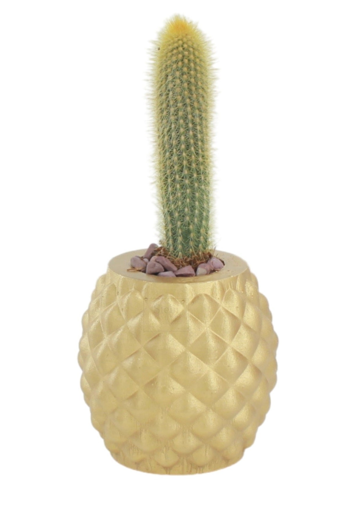 Çiçek Saksısı Büyük Boy 1 Adet Altın Renk Uygulamalı Ananas Model