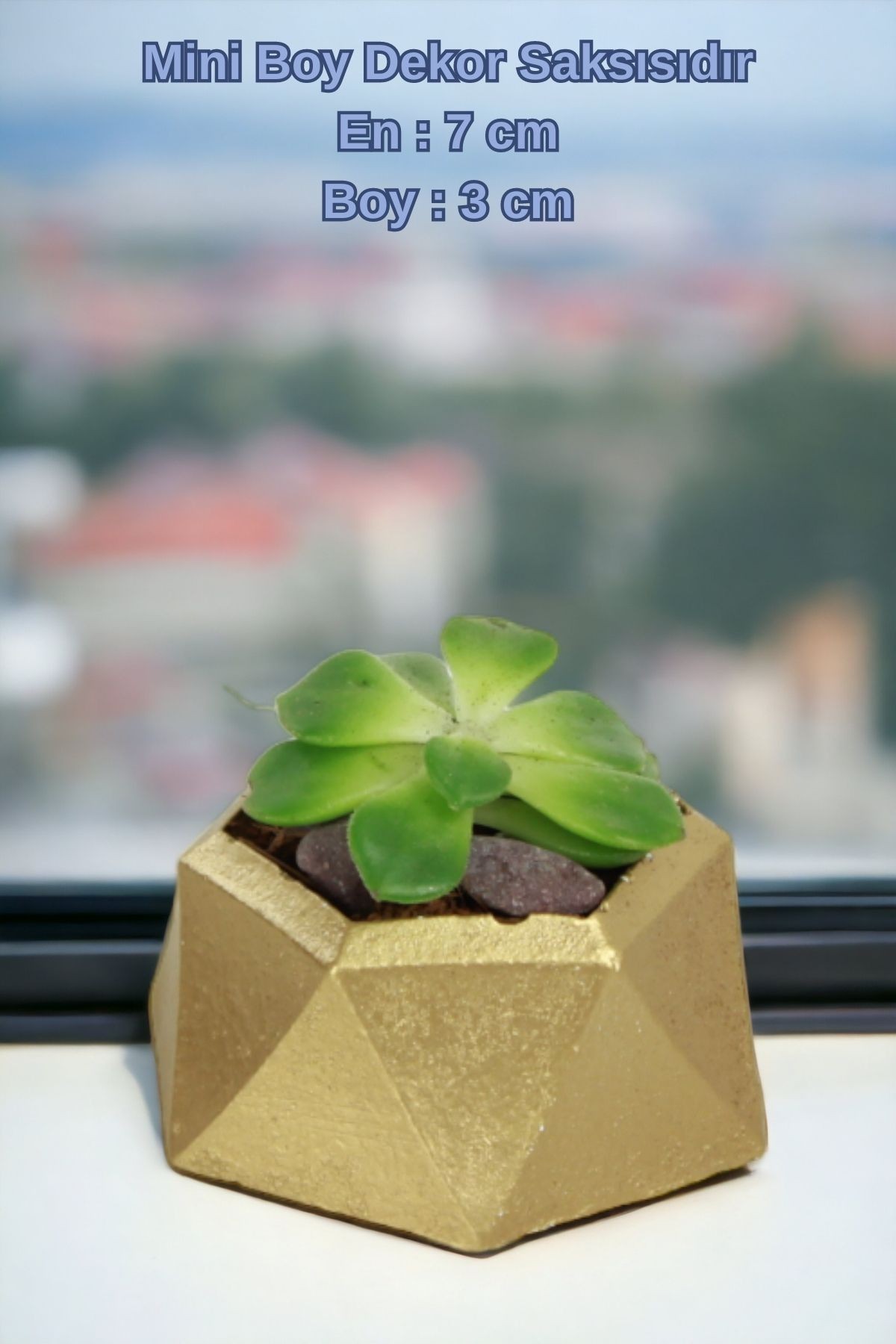 Altın thumbnail image