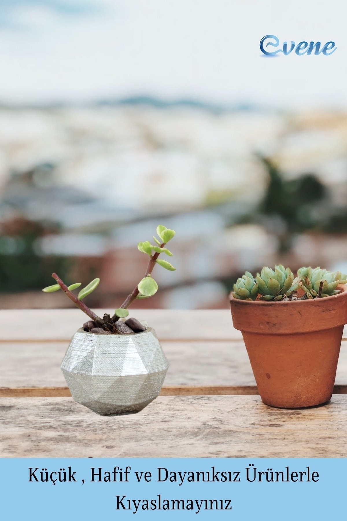 Mini Çiçek Saksı Küçük Sukulent Gümüş Kaktüs Saksısı 3'lü Set Mini Poly Silindir Model