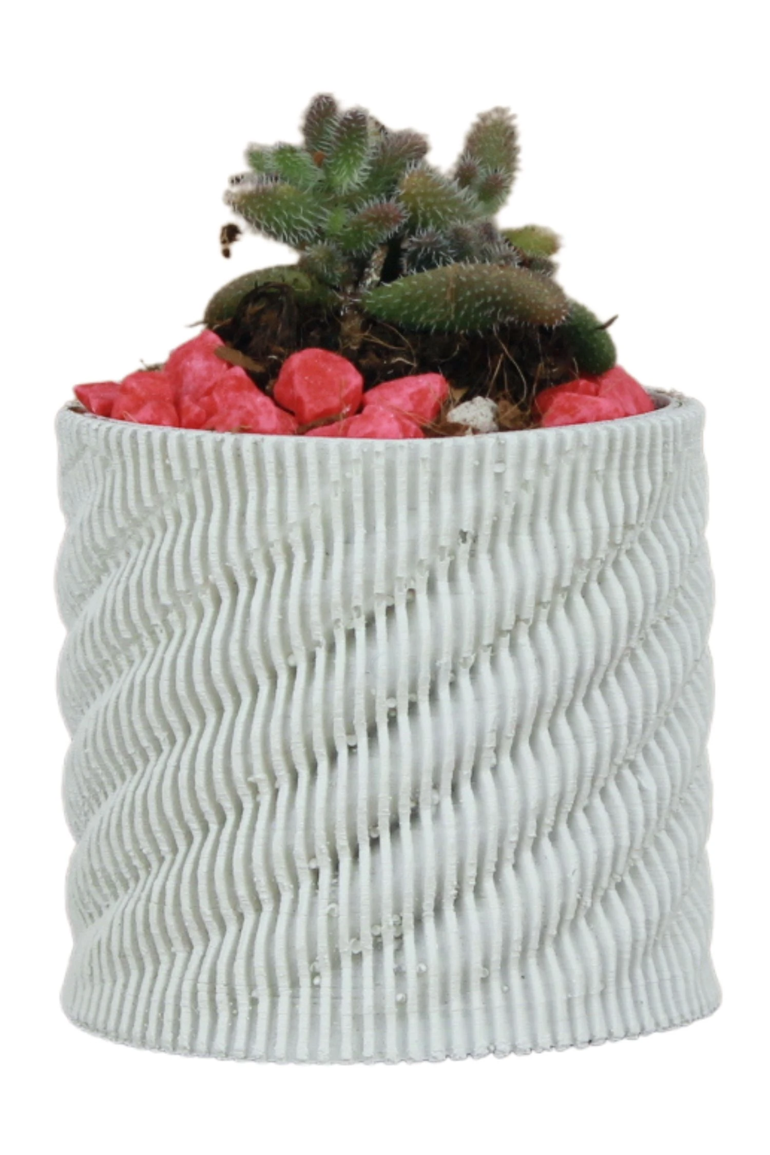 Saksı Kaktüs Saksısı Dekoratif Saksı Model 15