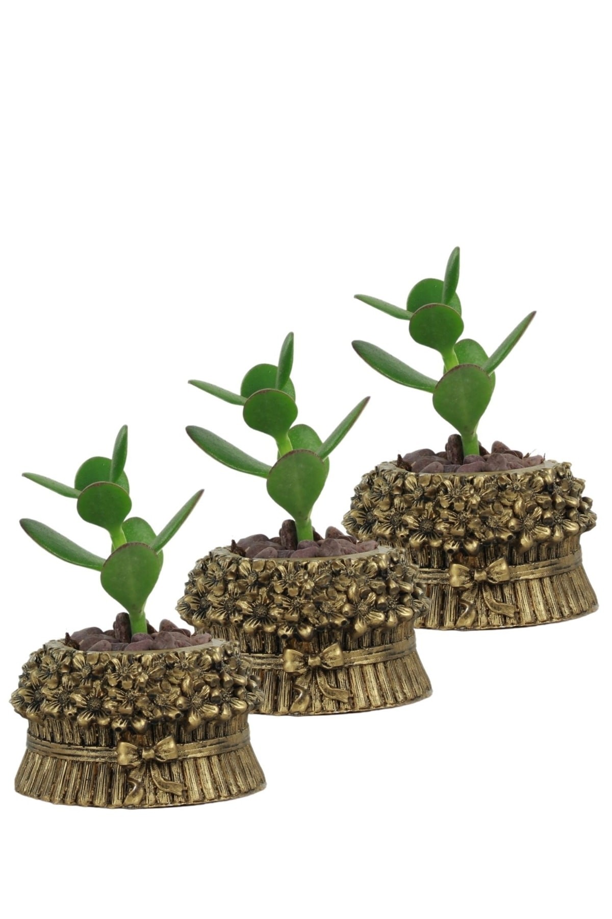 Mini Çiçek Saksı Küçük Sukulent Altın Eskitme Kaktüs Saksısı 3'lü Set Çiçekli Fiyonklu Model