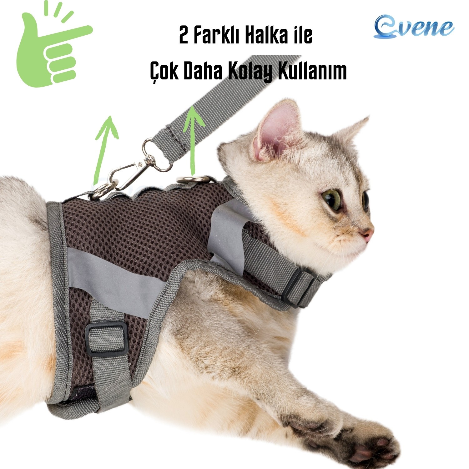 Kedi Tasması Göğüs Boyun Tasma Seti Sevk Kayışlı Terletmeyen Nefes Alan Reflektörlü Tasma