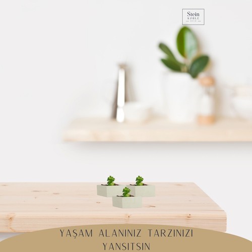 Stein Kohle Dekoratif Saksı Minik Kaktüs Saksısı Dörtgen Model